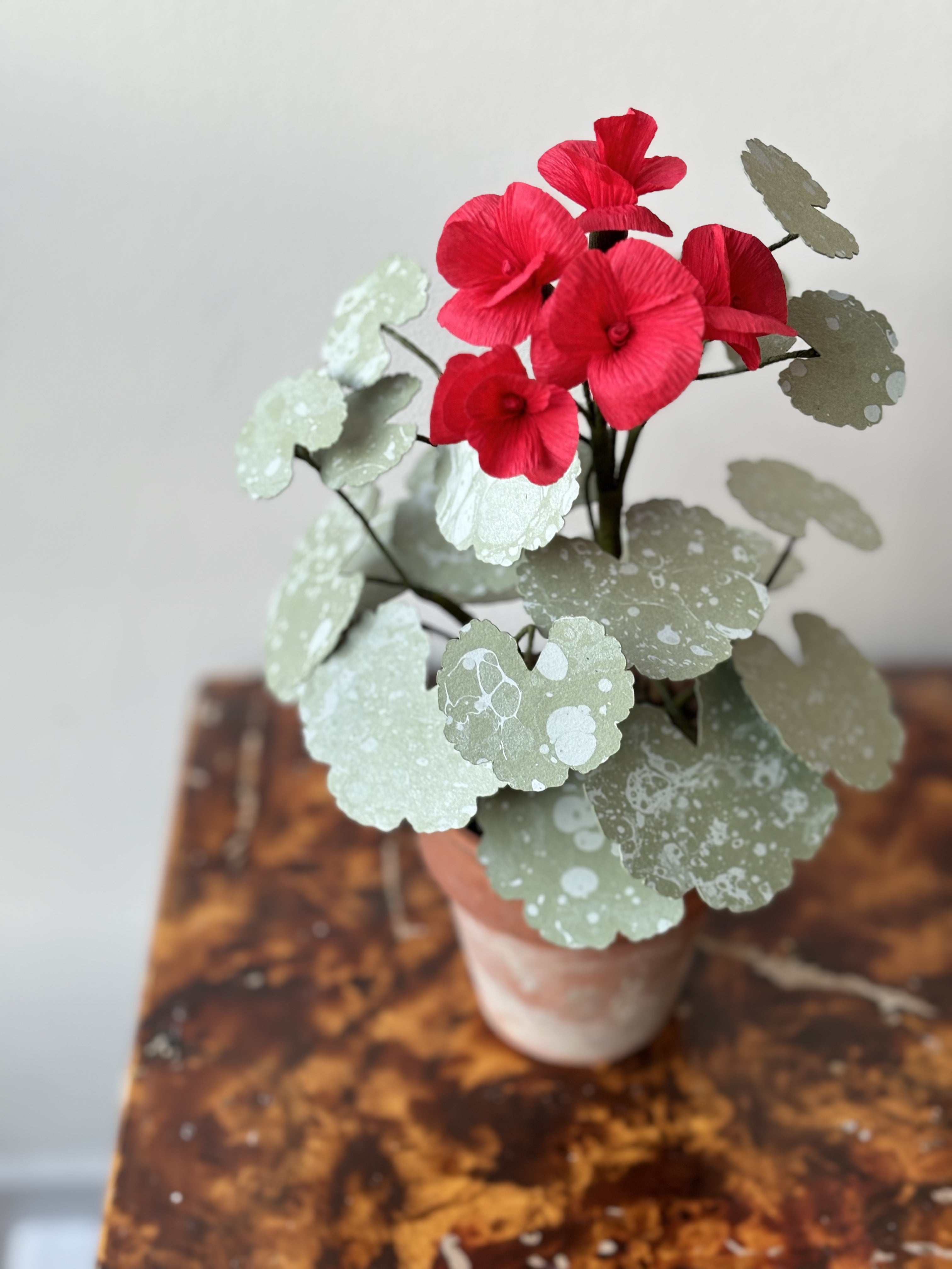 Paper Geranium