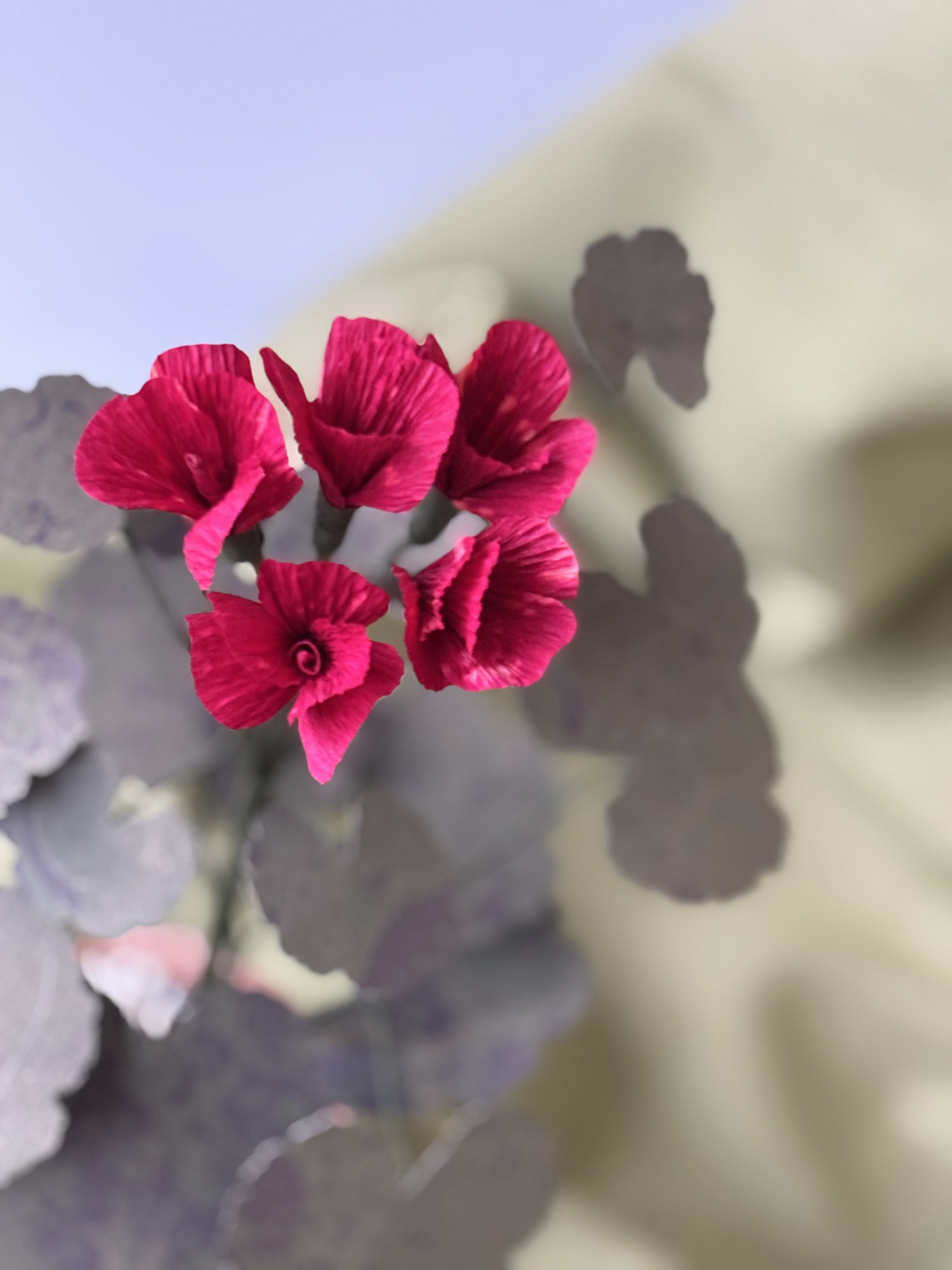 Paper Geranium