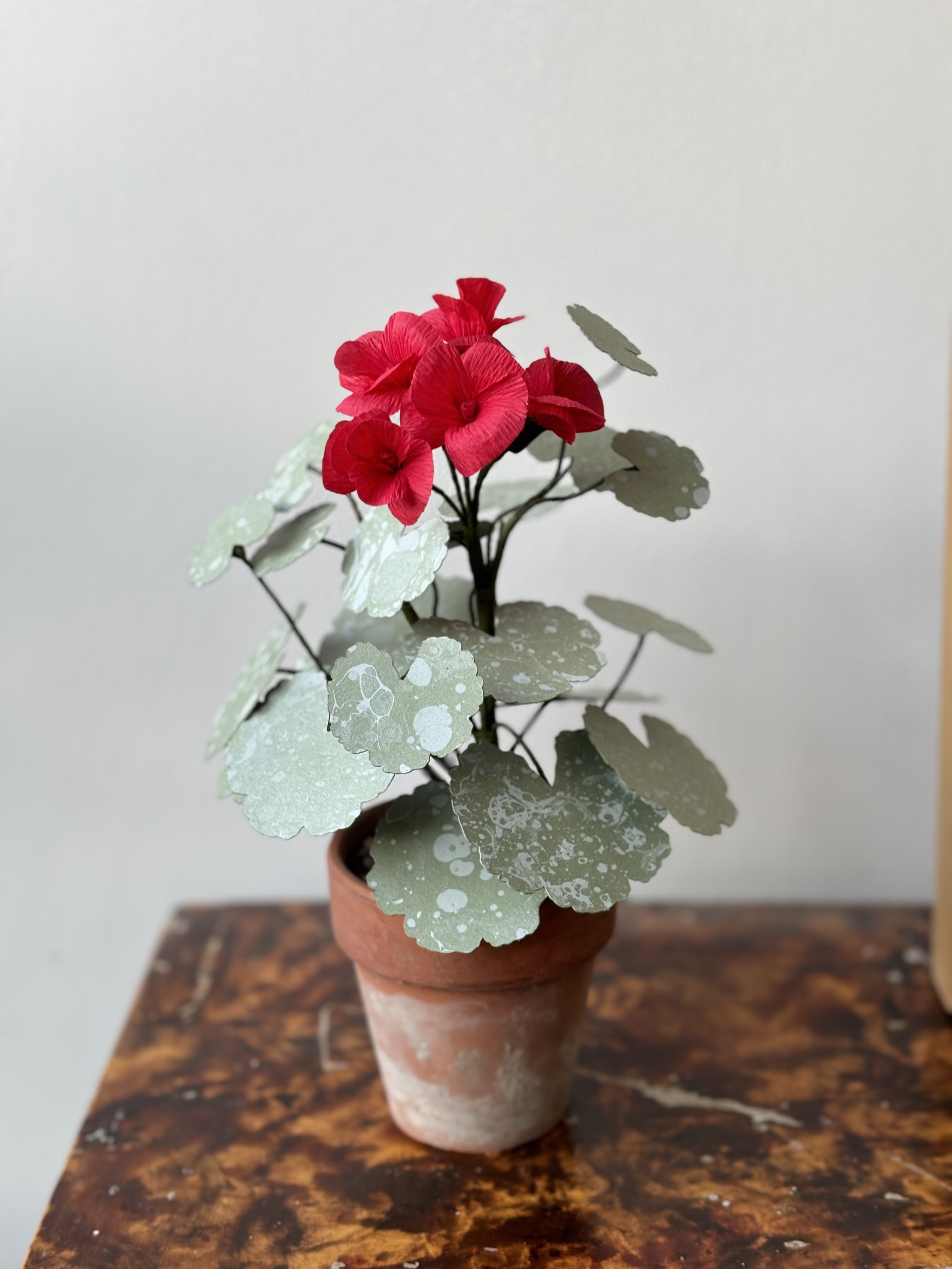 Paper Geranium