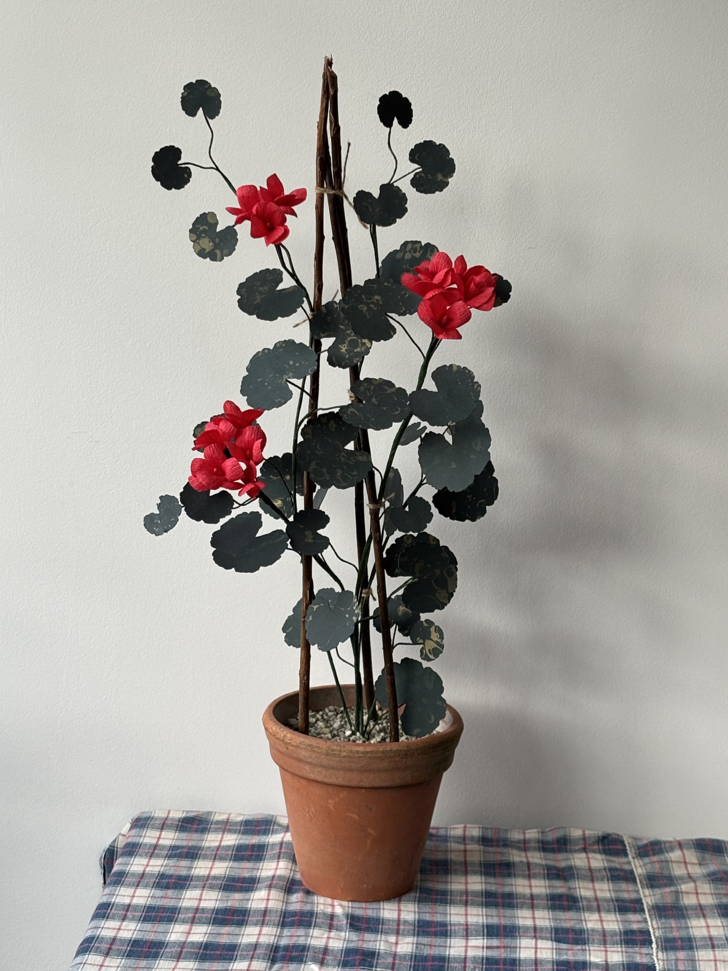 Paper Geranium