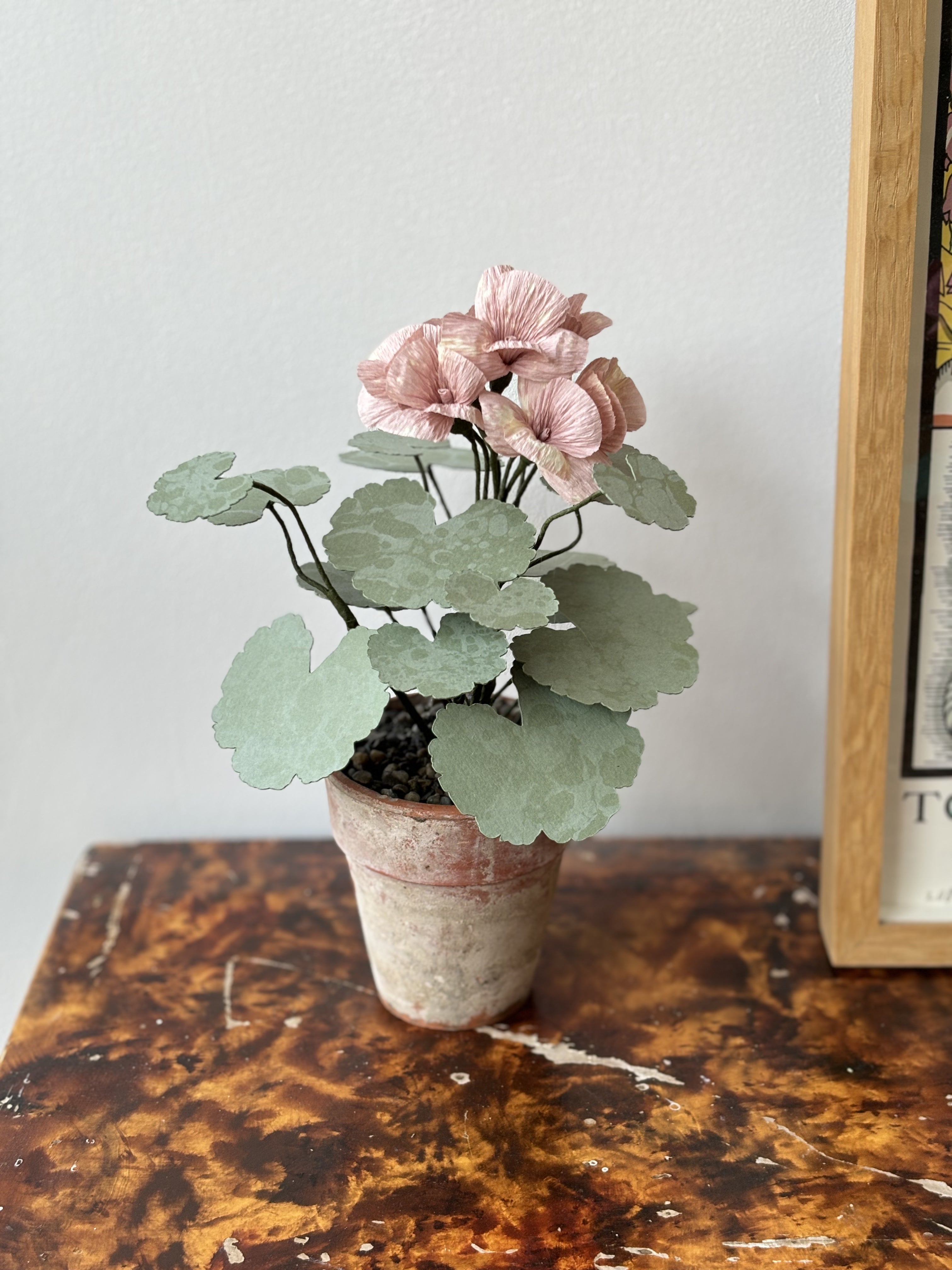 Paper Geranium