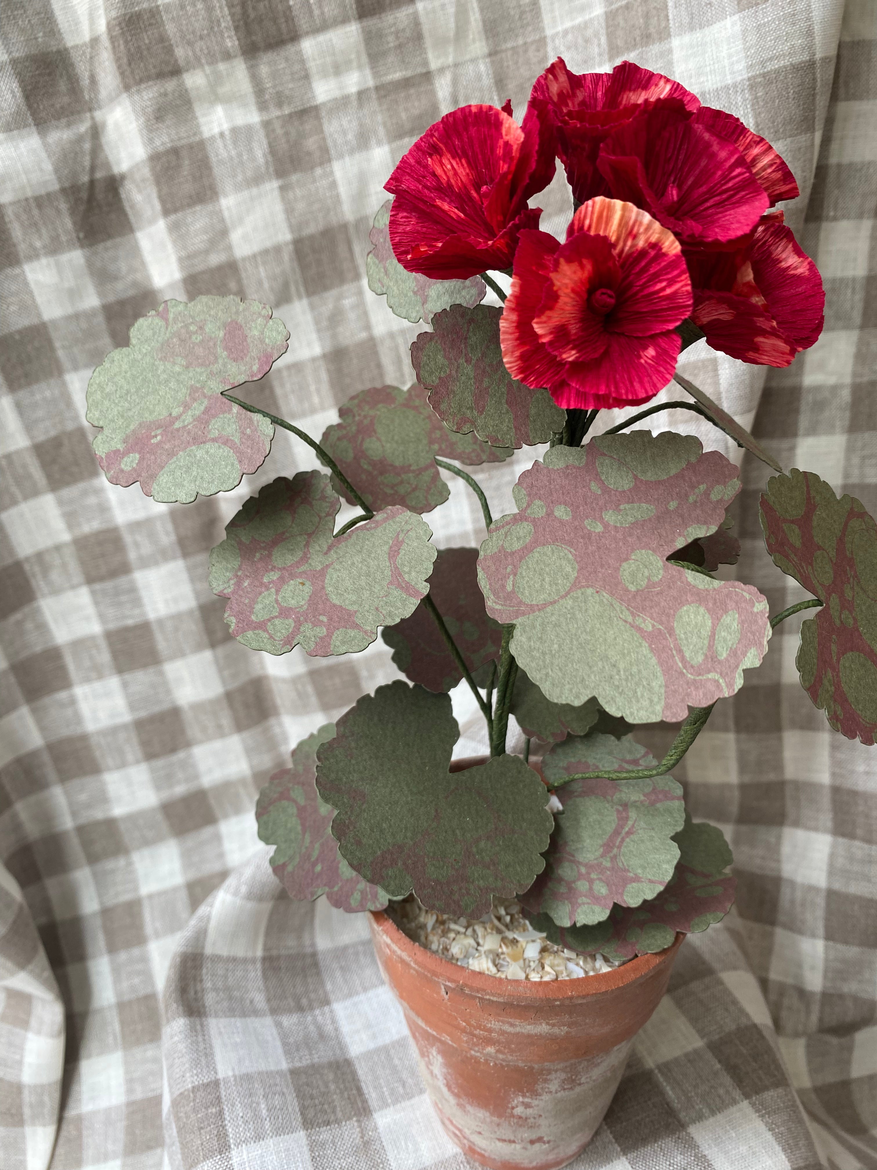 Paper Geranium