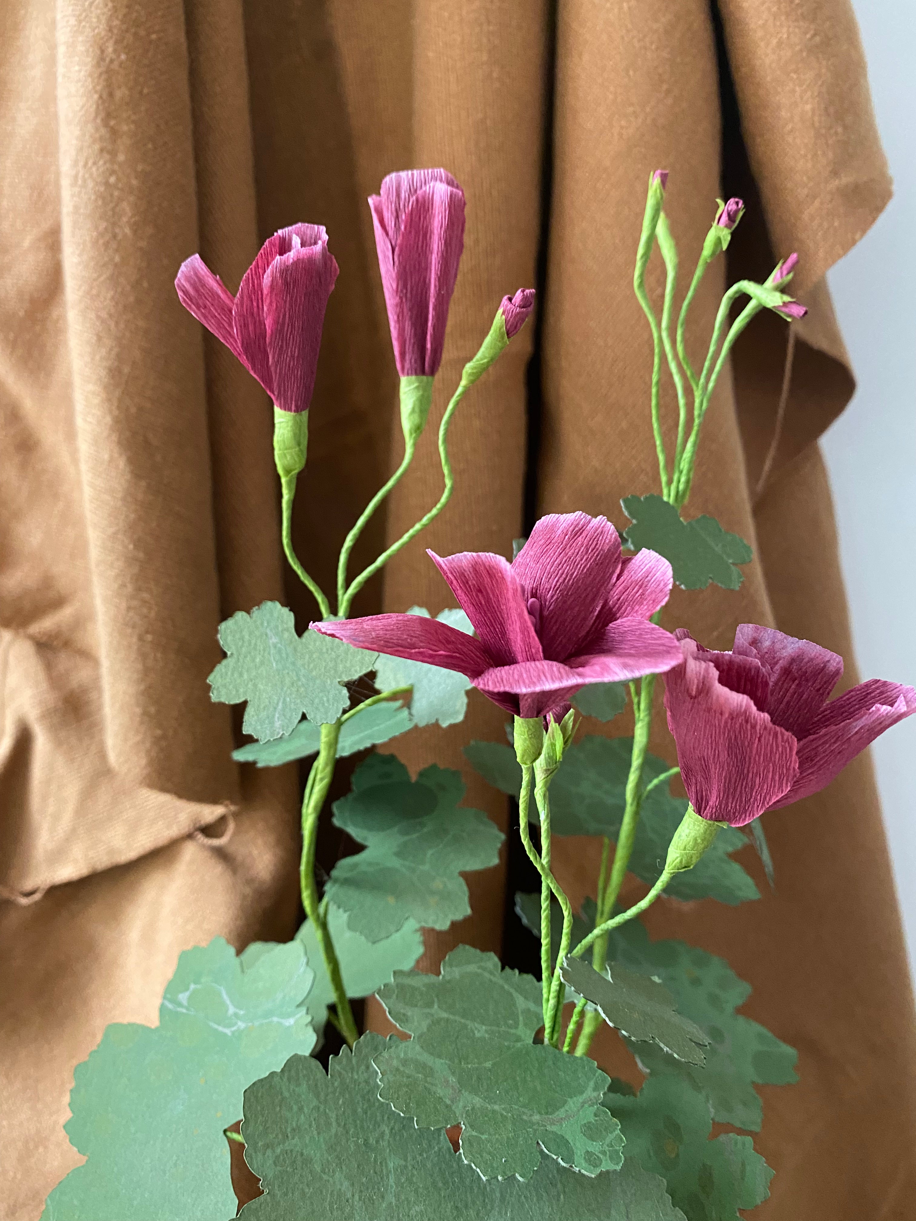 Paper Geranium