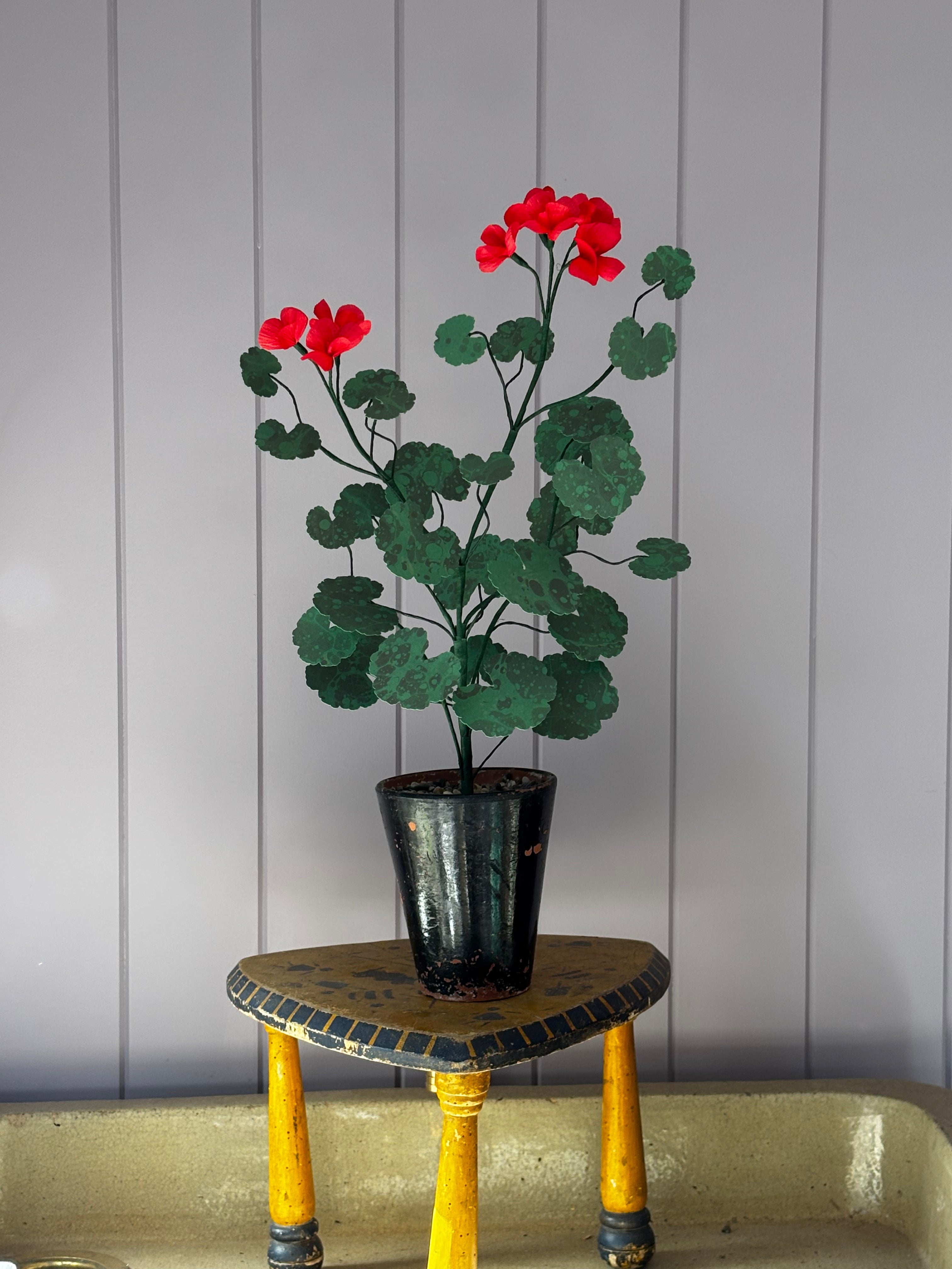 Paper geranium