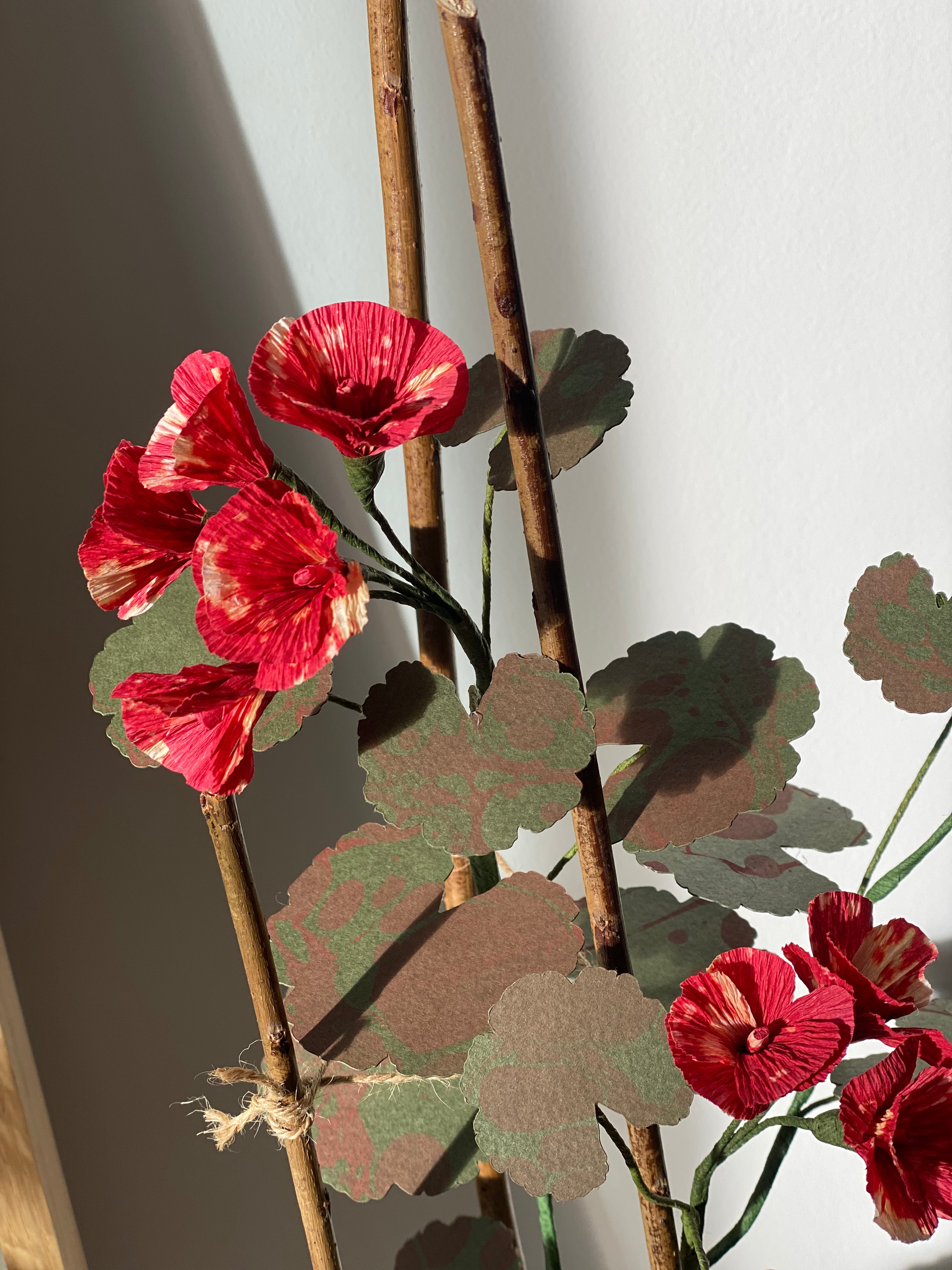 Paper Geranium