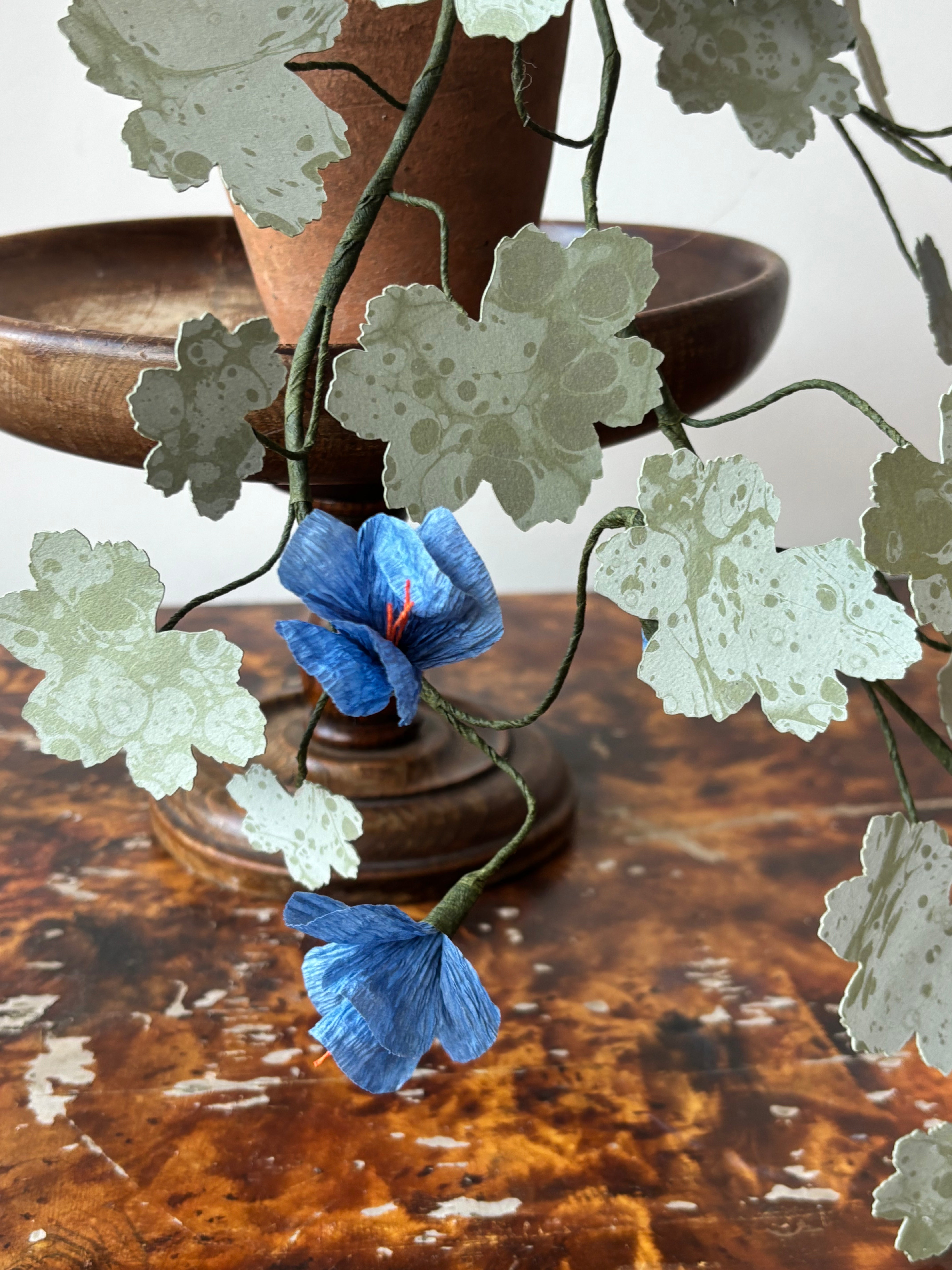 Paper hardy Geranium, trailing