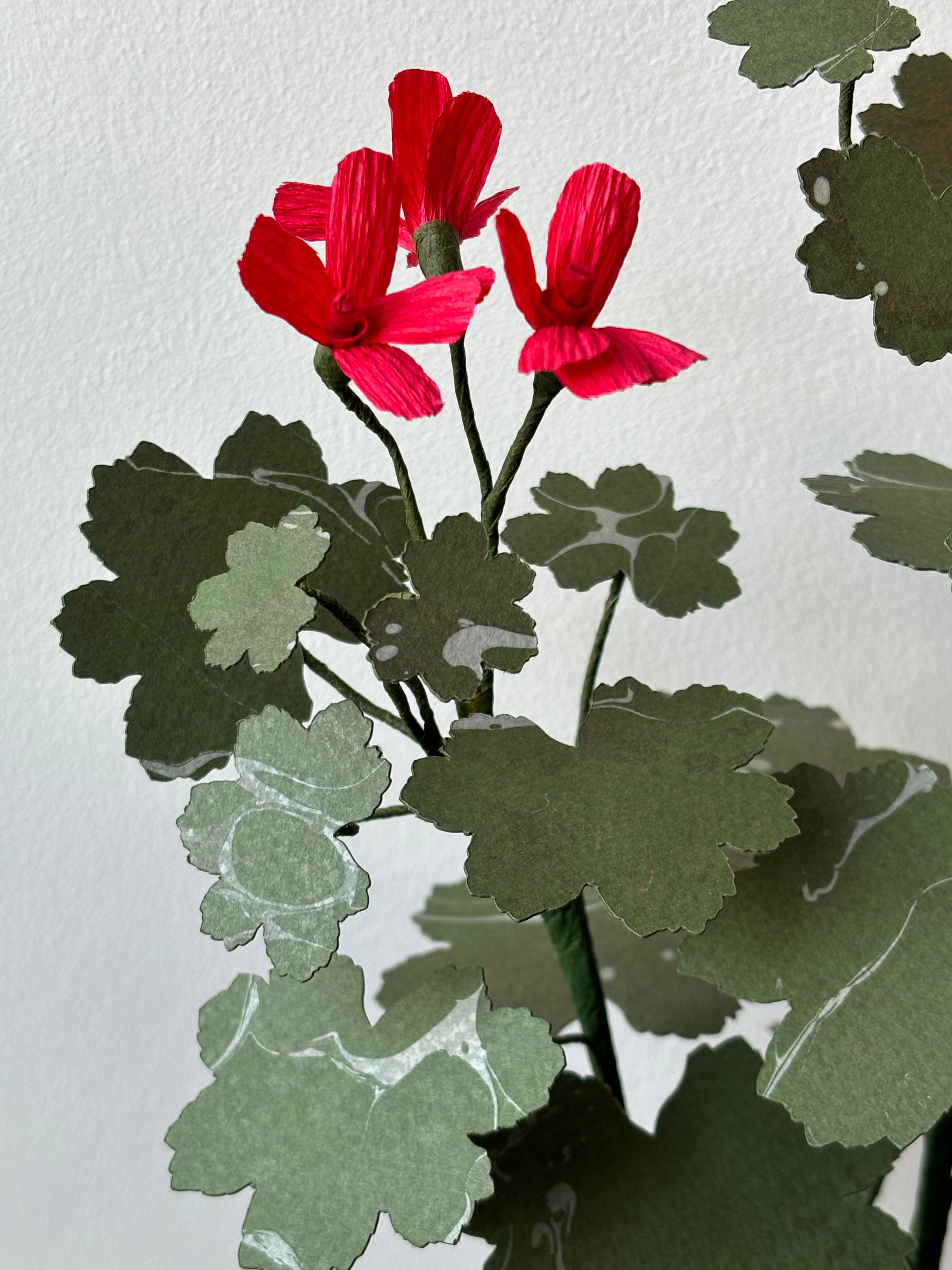 Paper Geranium