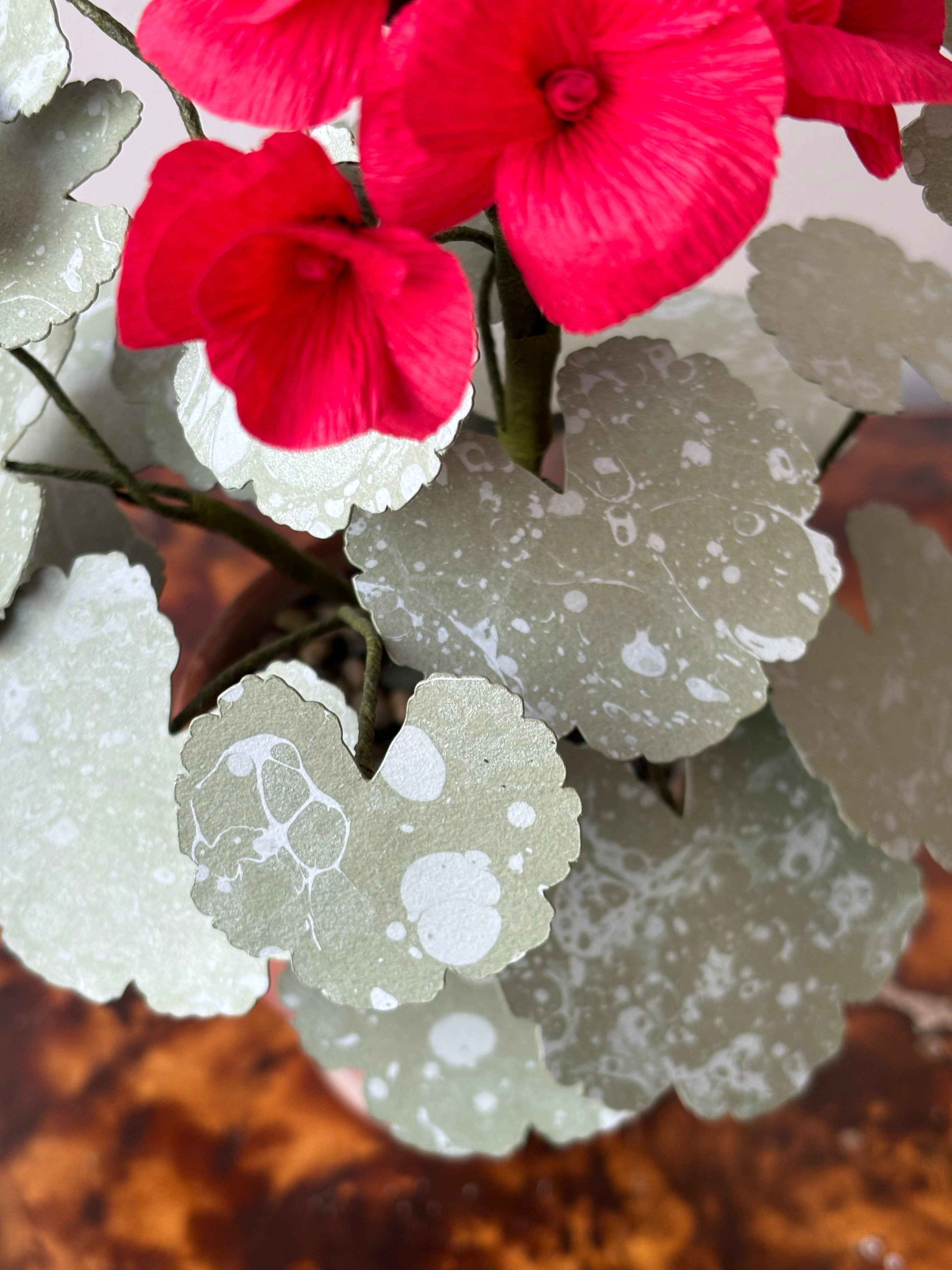 Paper Geranium