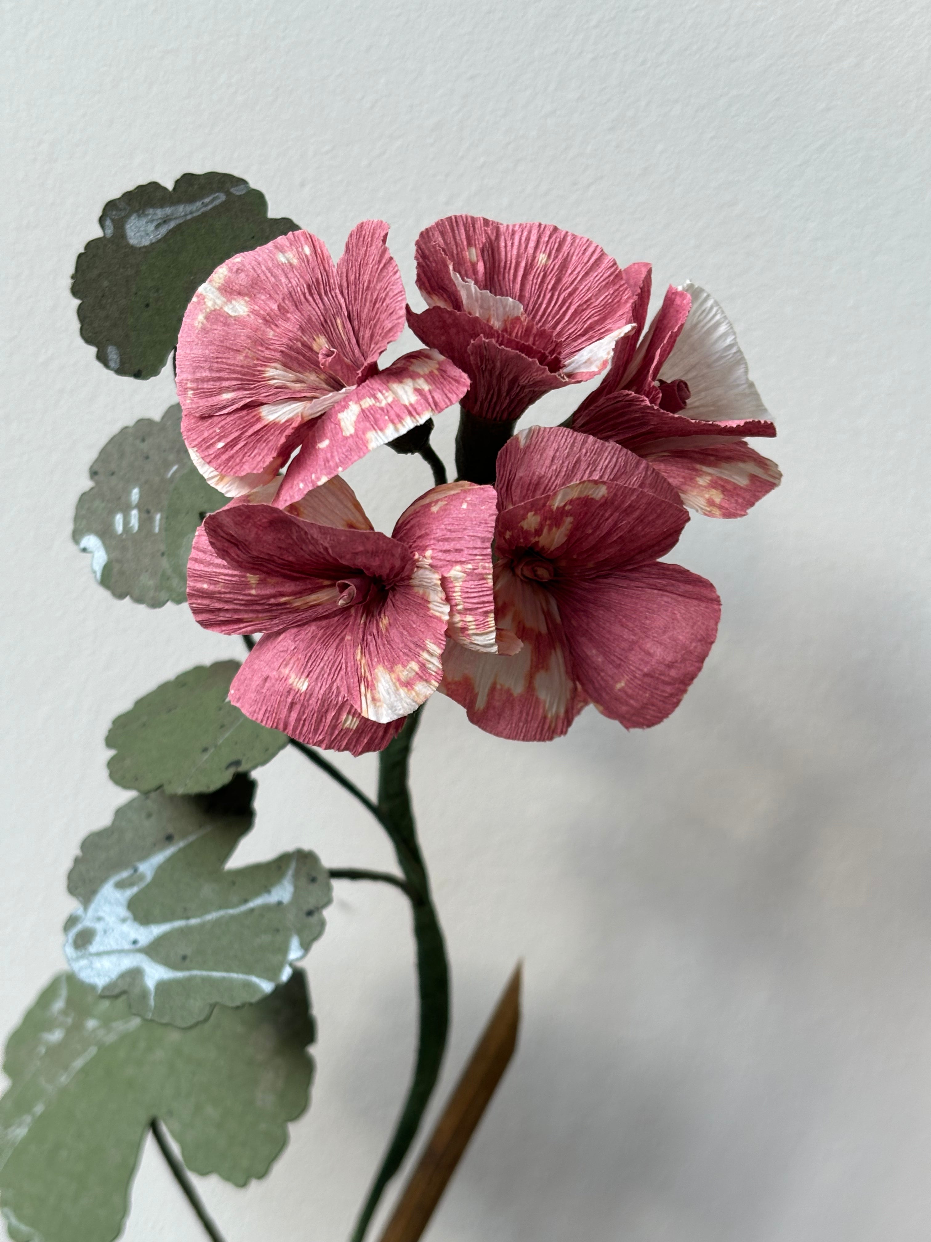 Paper Geranium