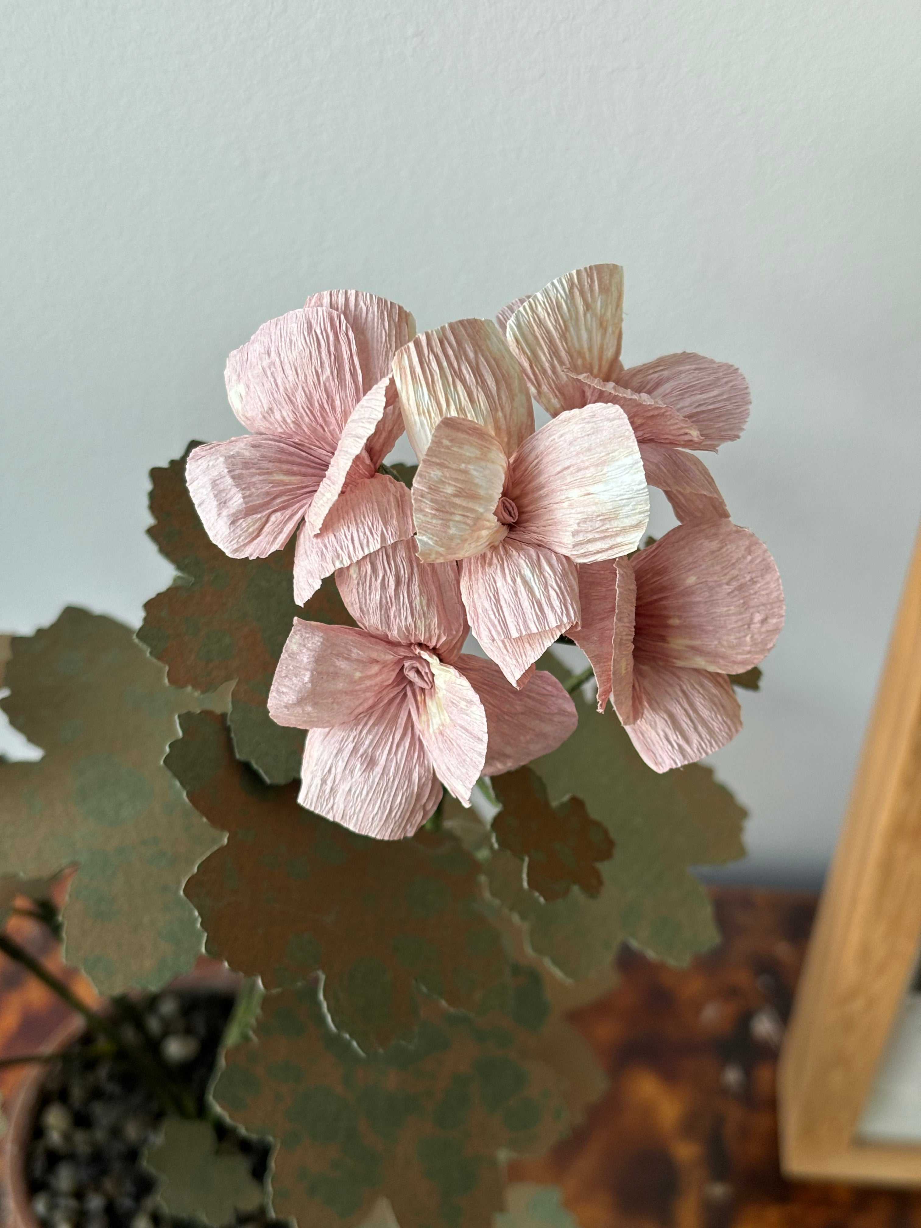 Paper Geranium