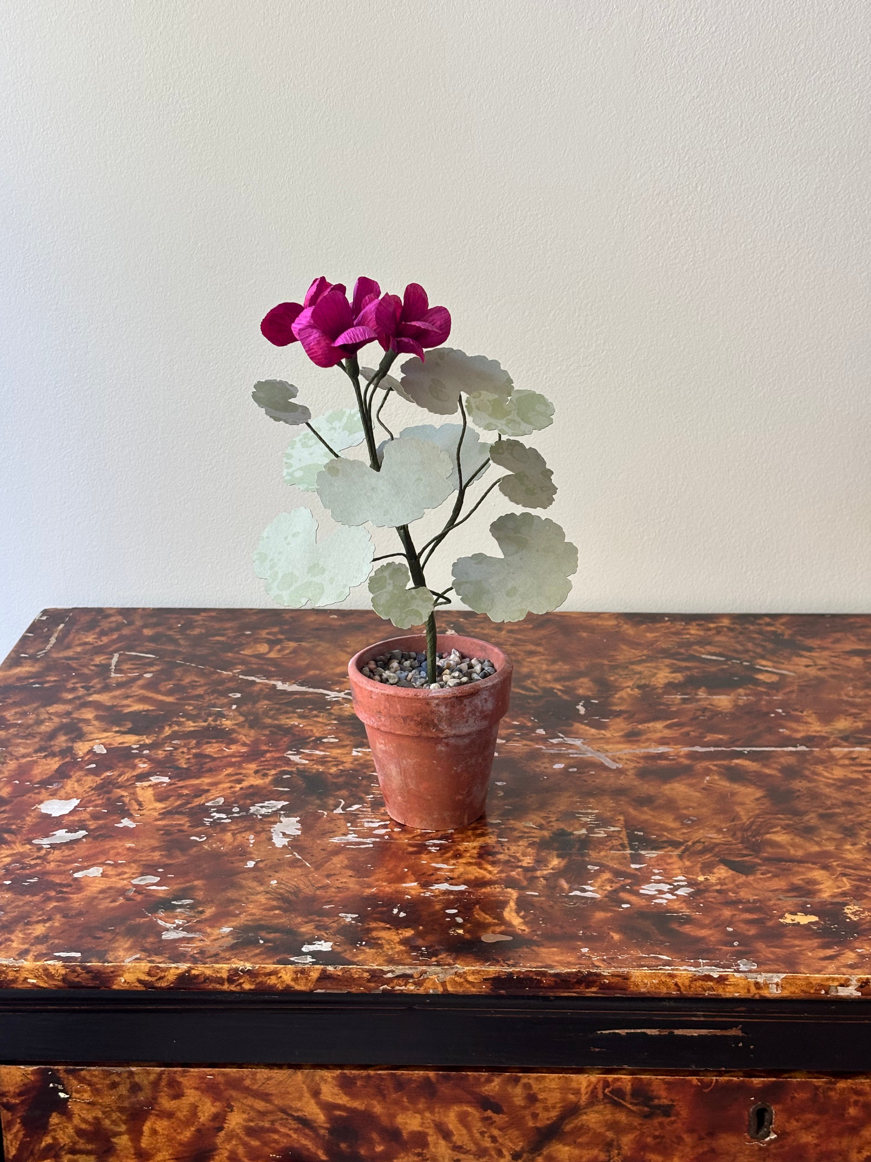 Paper Geranium