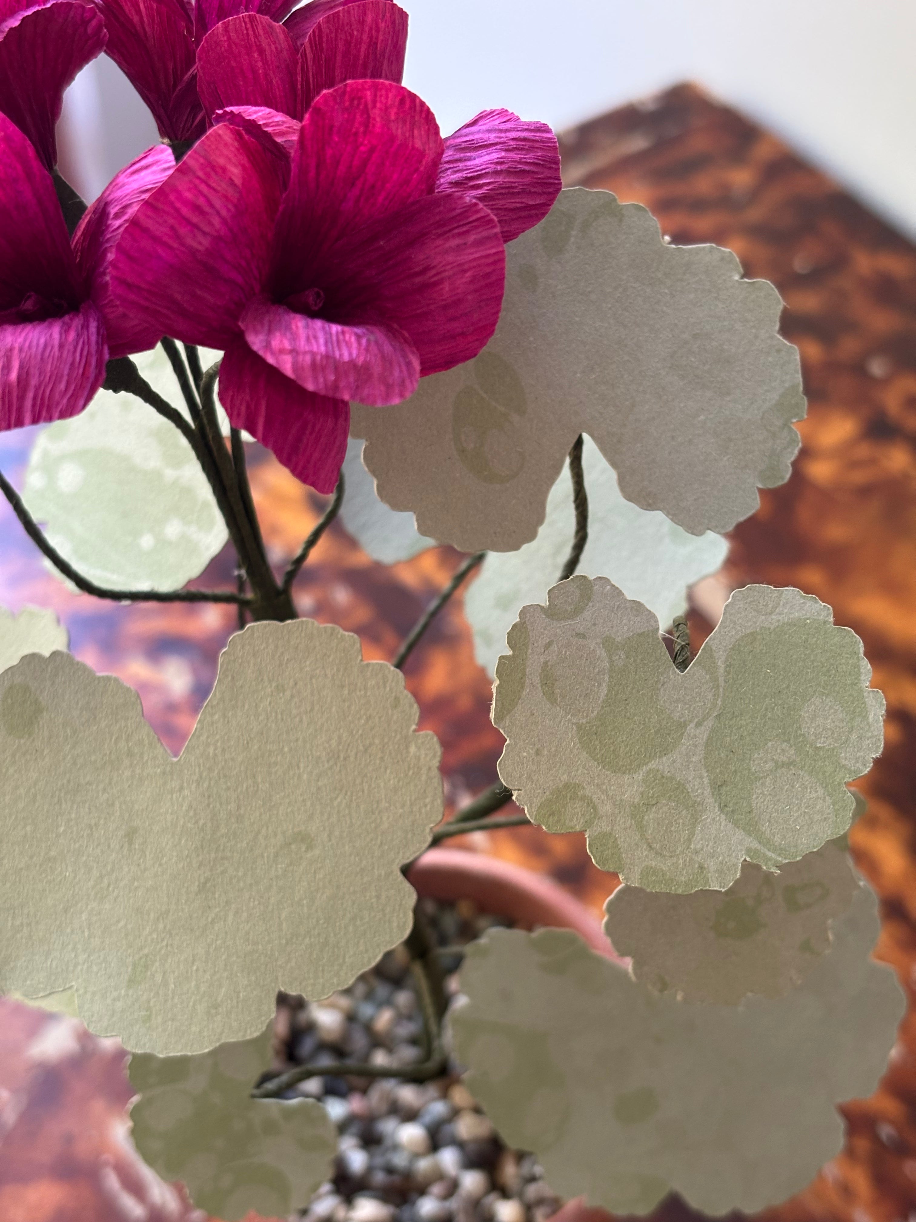 Paper Geranium