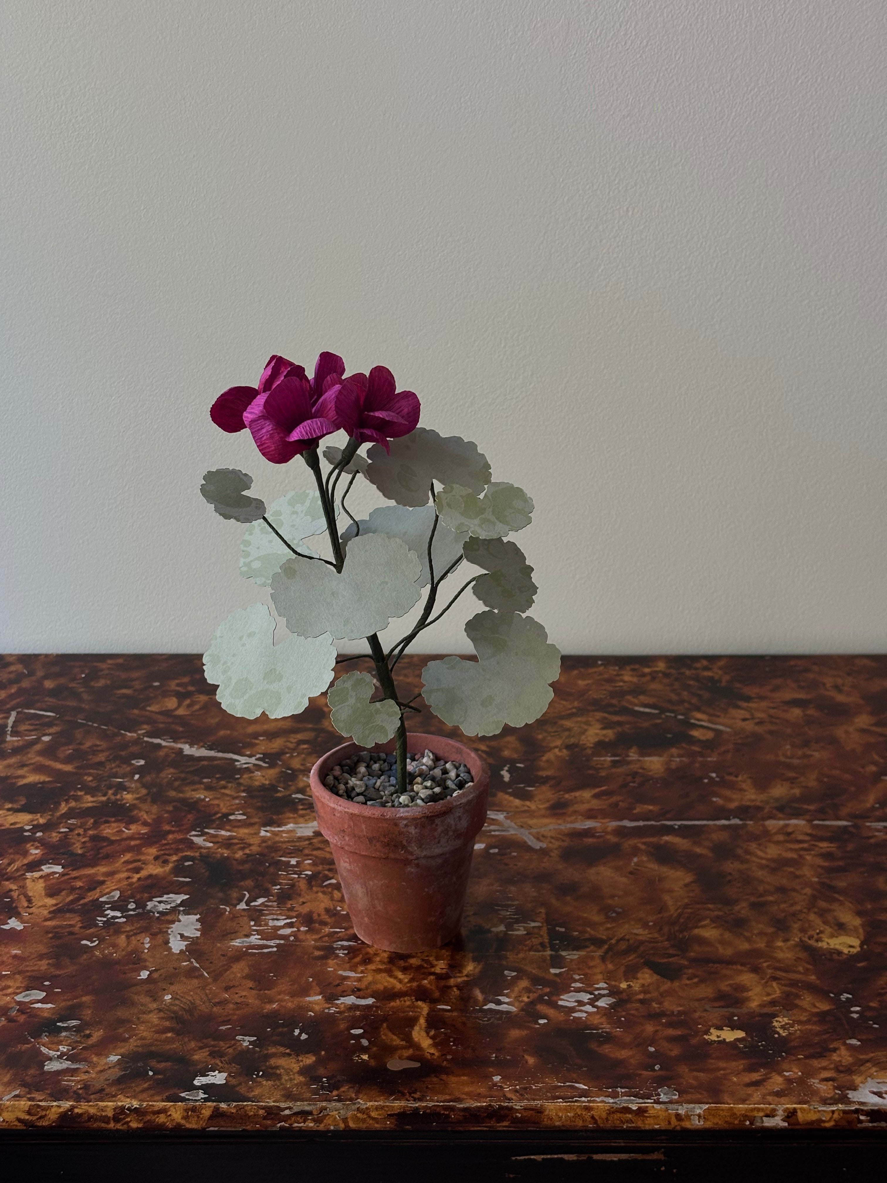 Paper Geranium