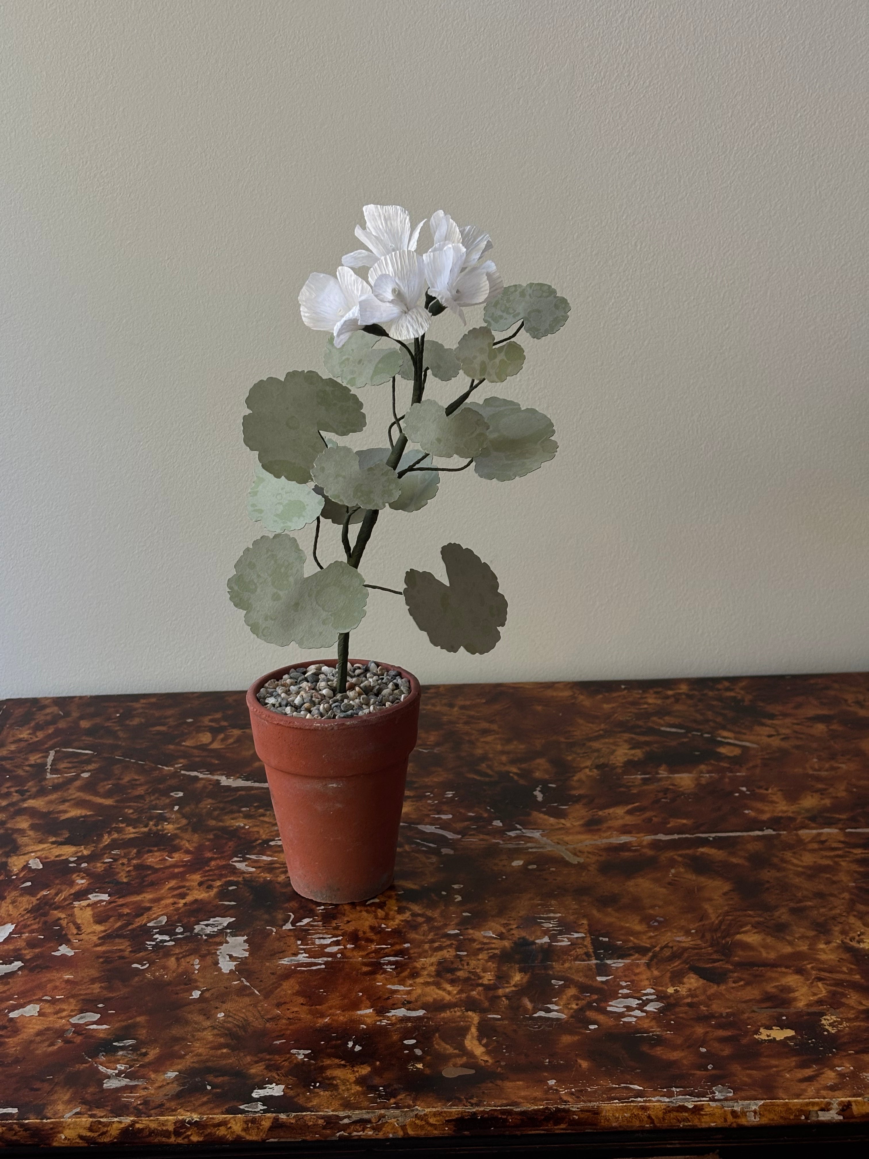 Paper Geranium