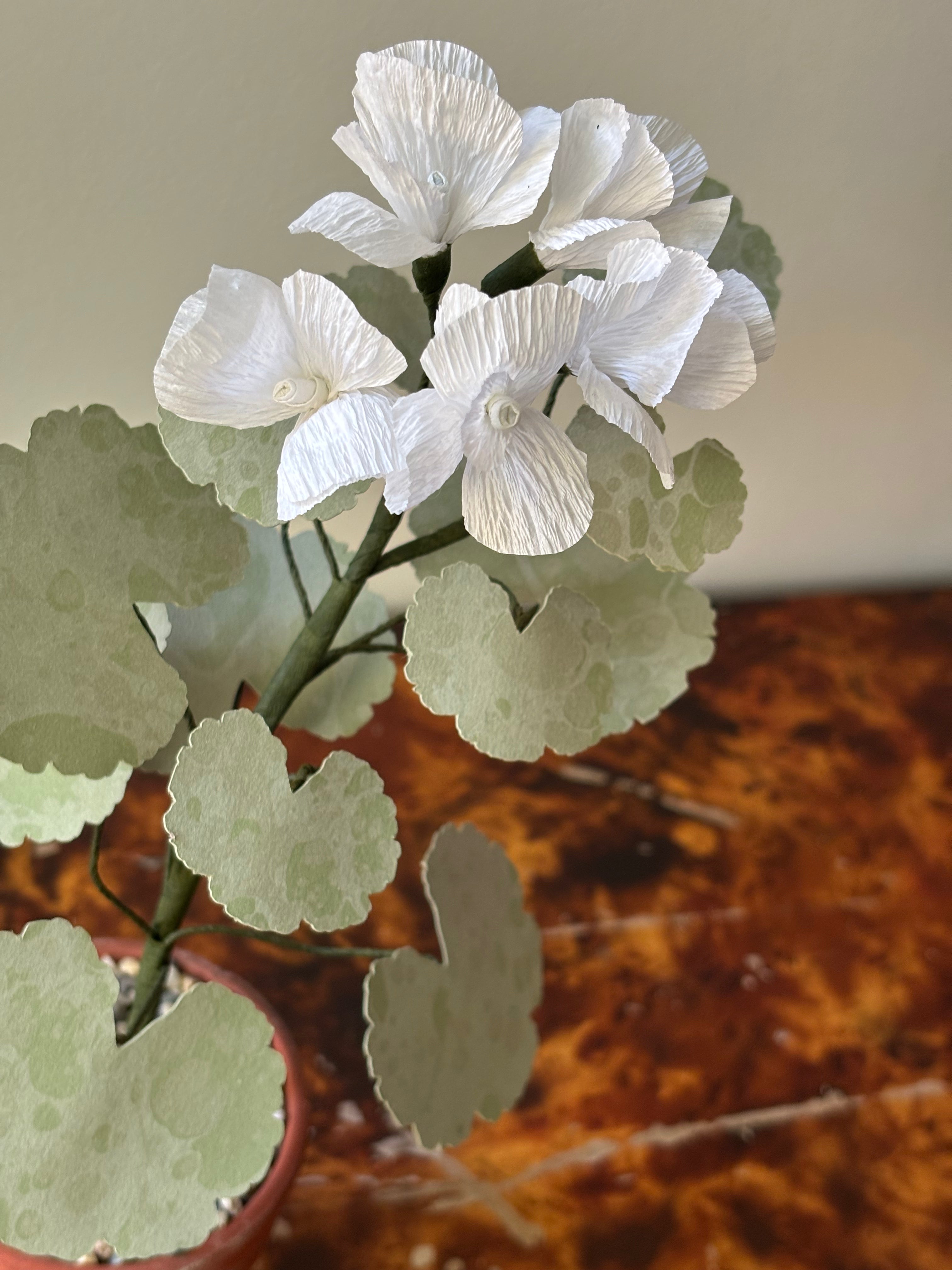 Paper Geranium