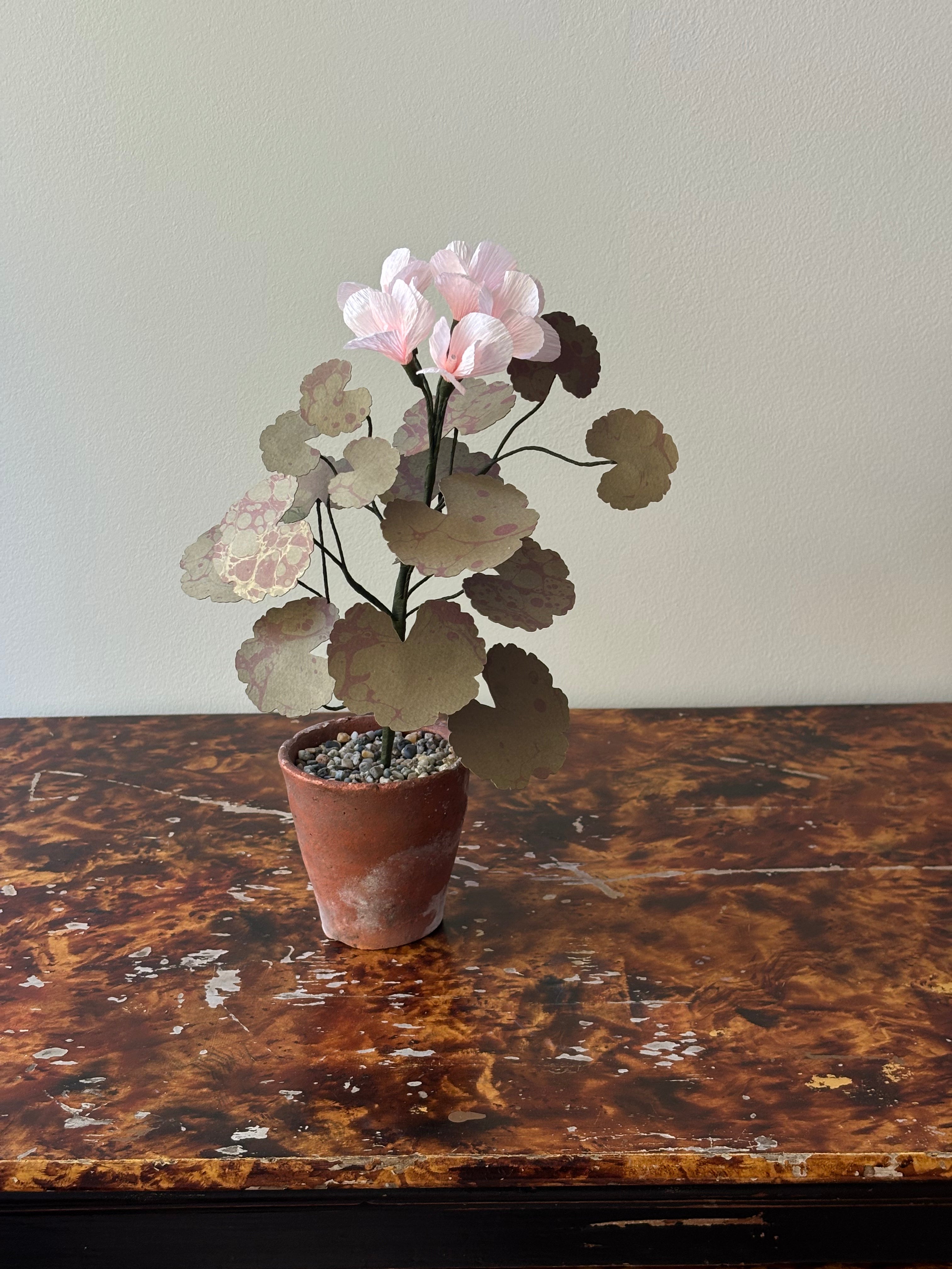 Paper Geranium