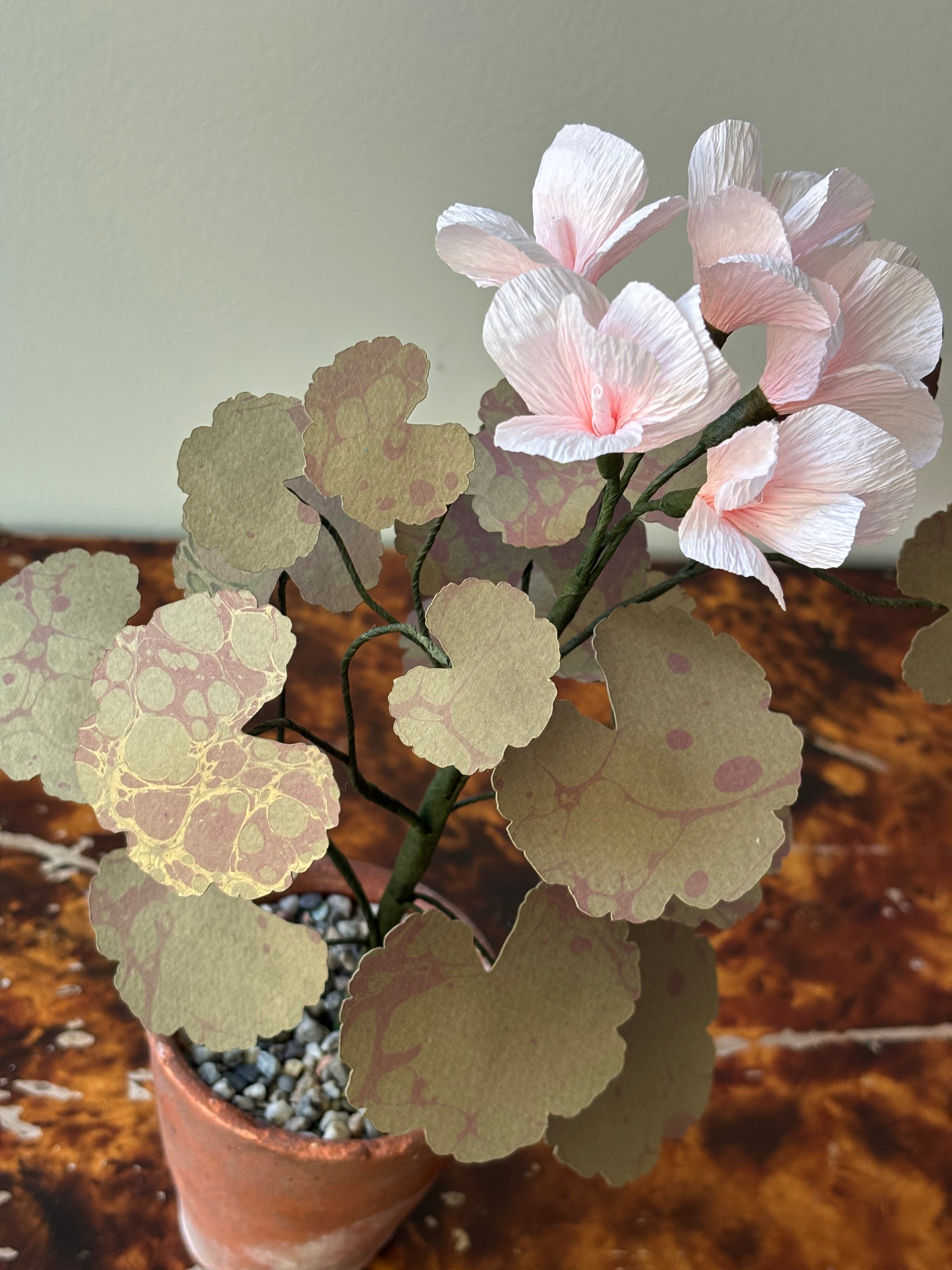 Paper Geranium