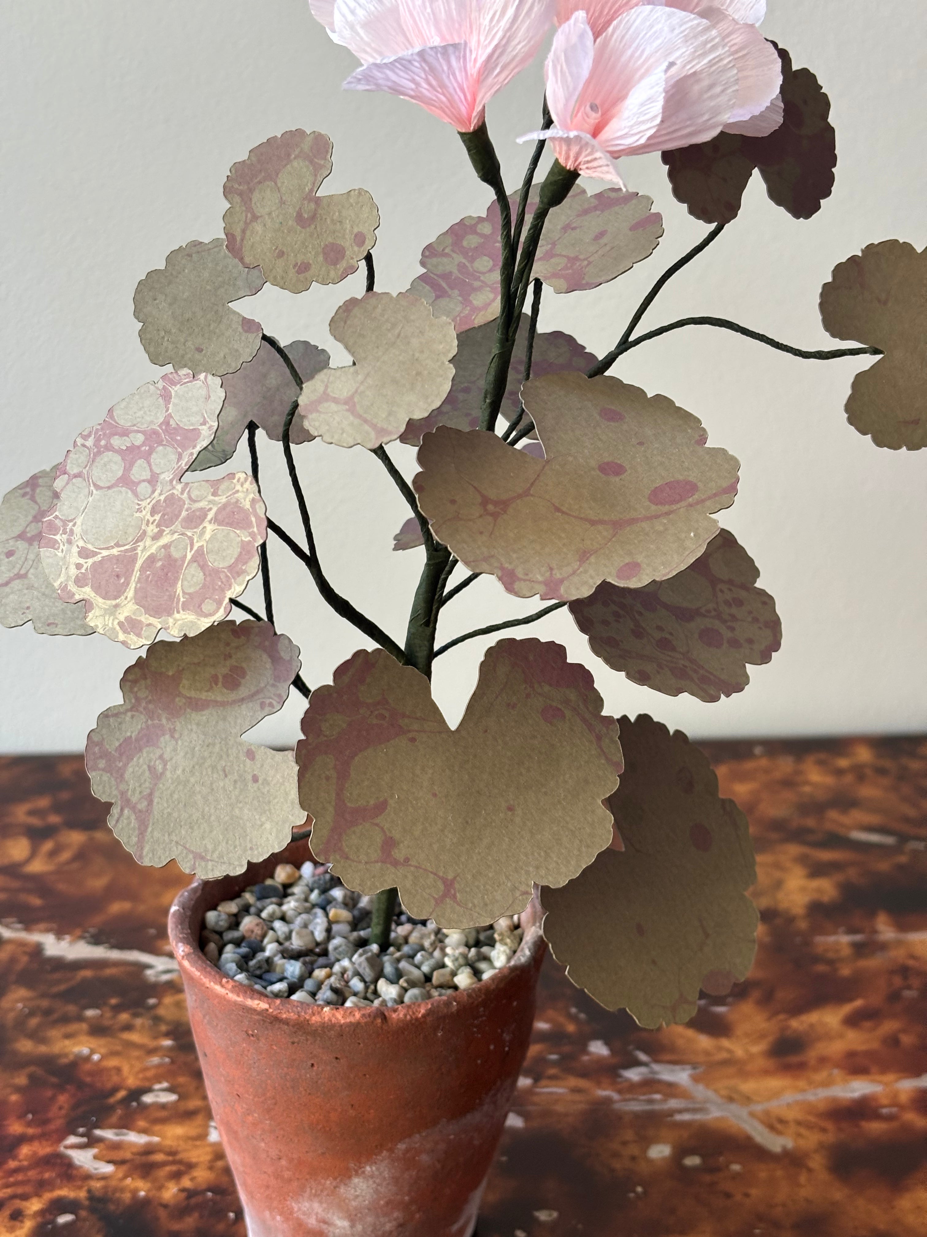 Paper Geranium