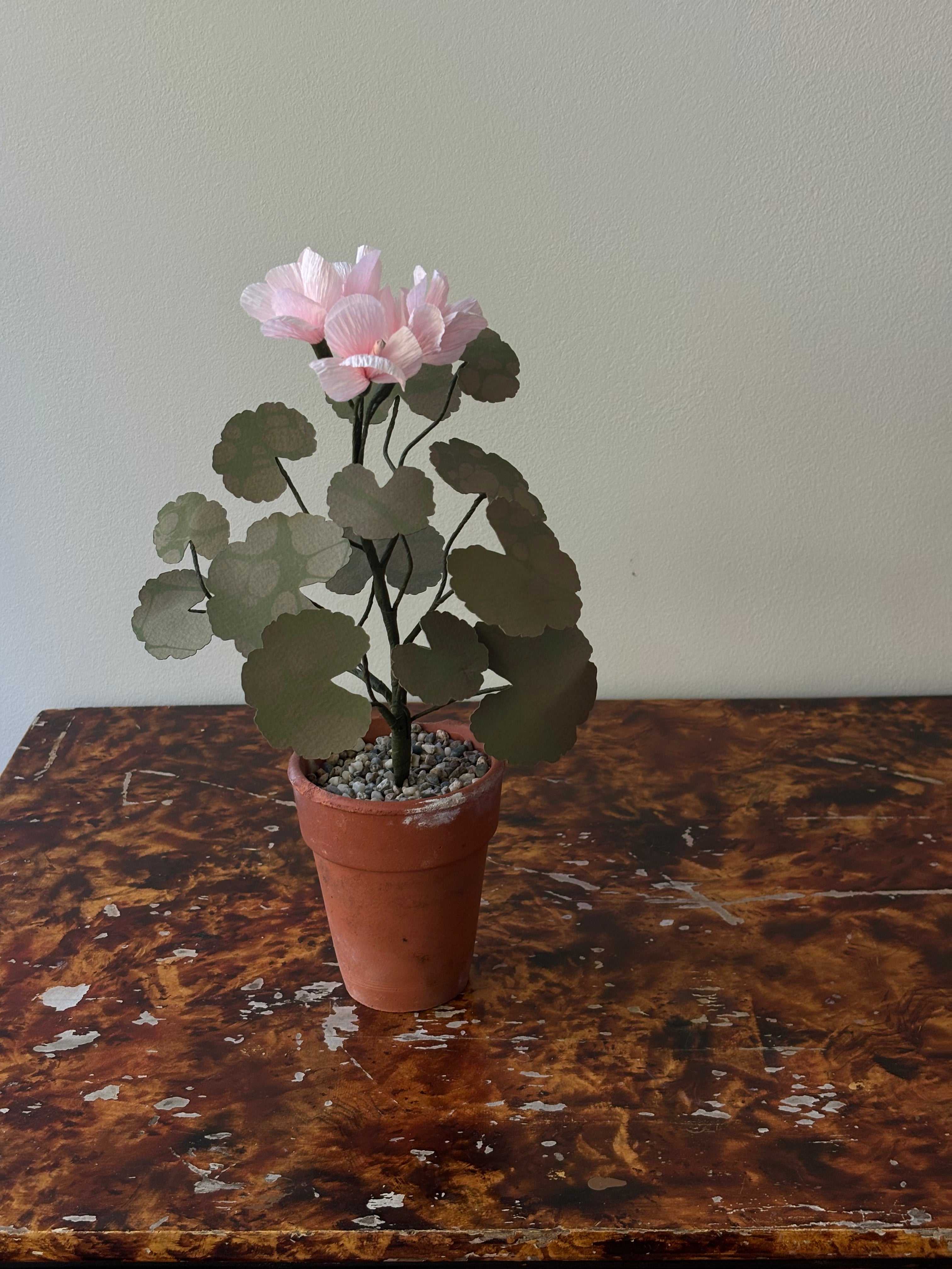 Paper Geranium