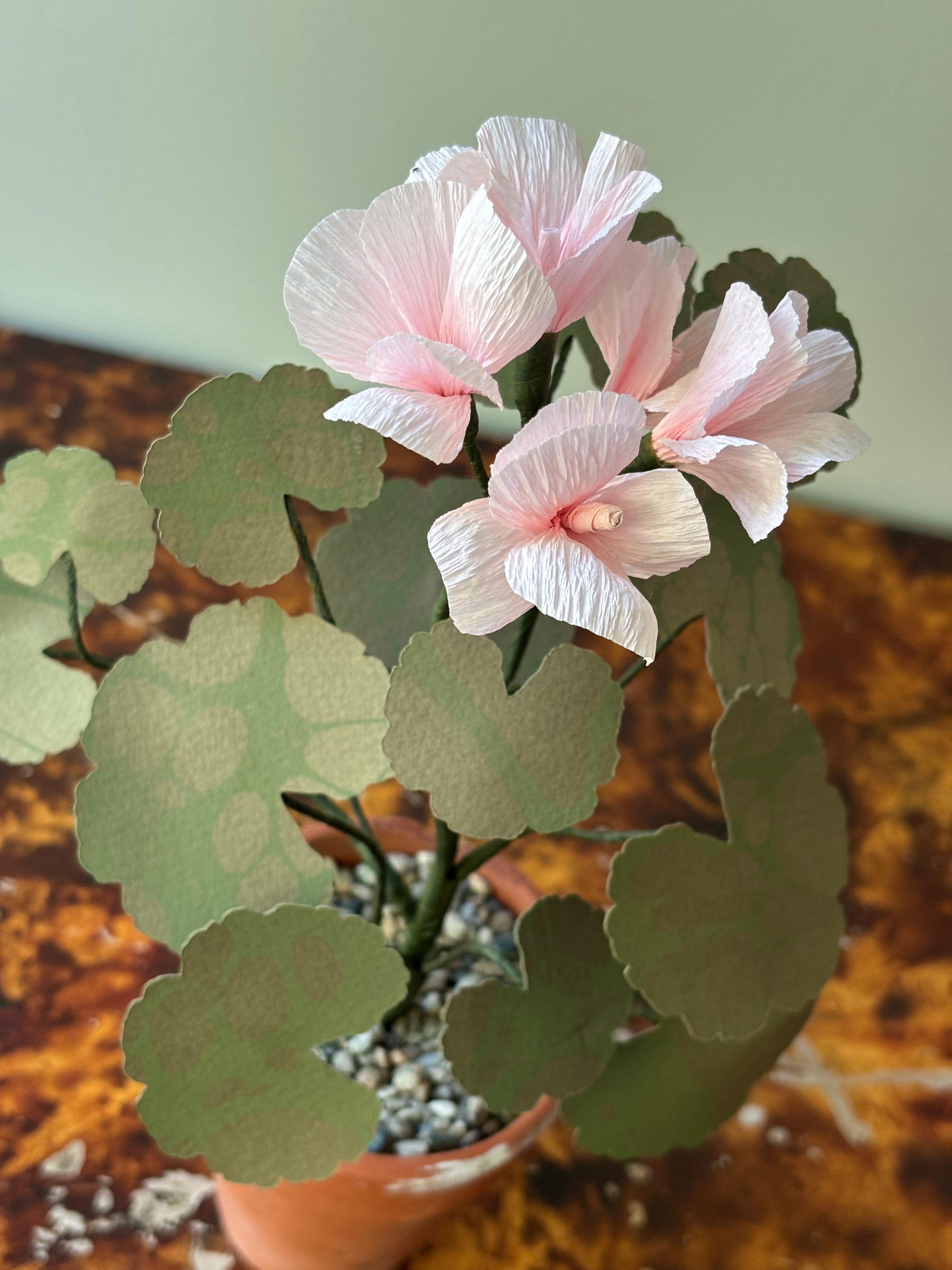 Paper Geranium