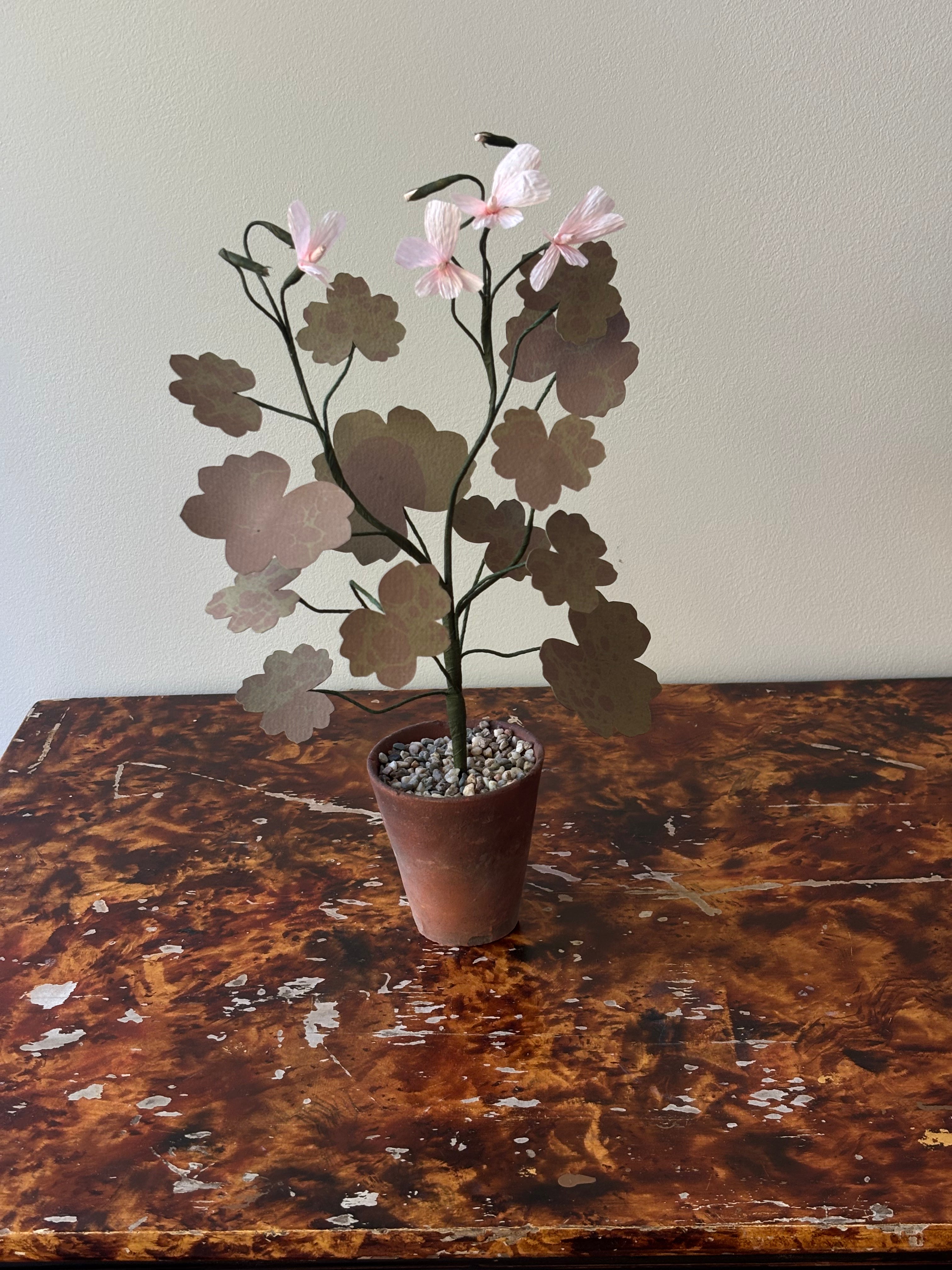 Paper Geranium