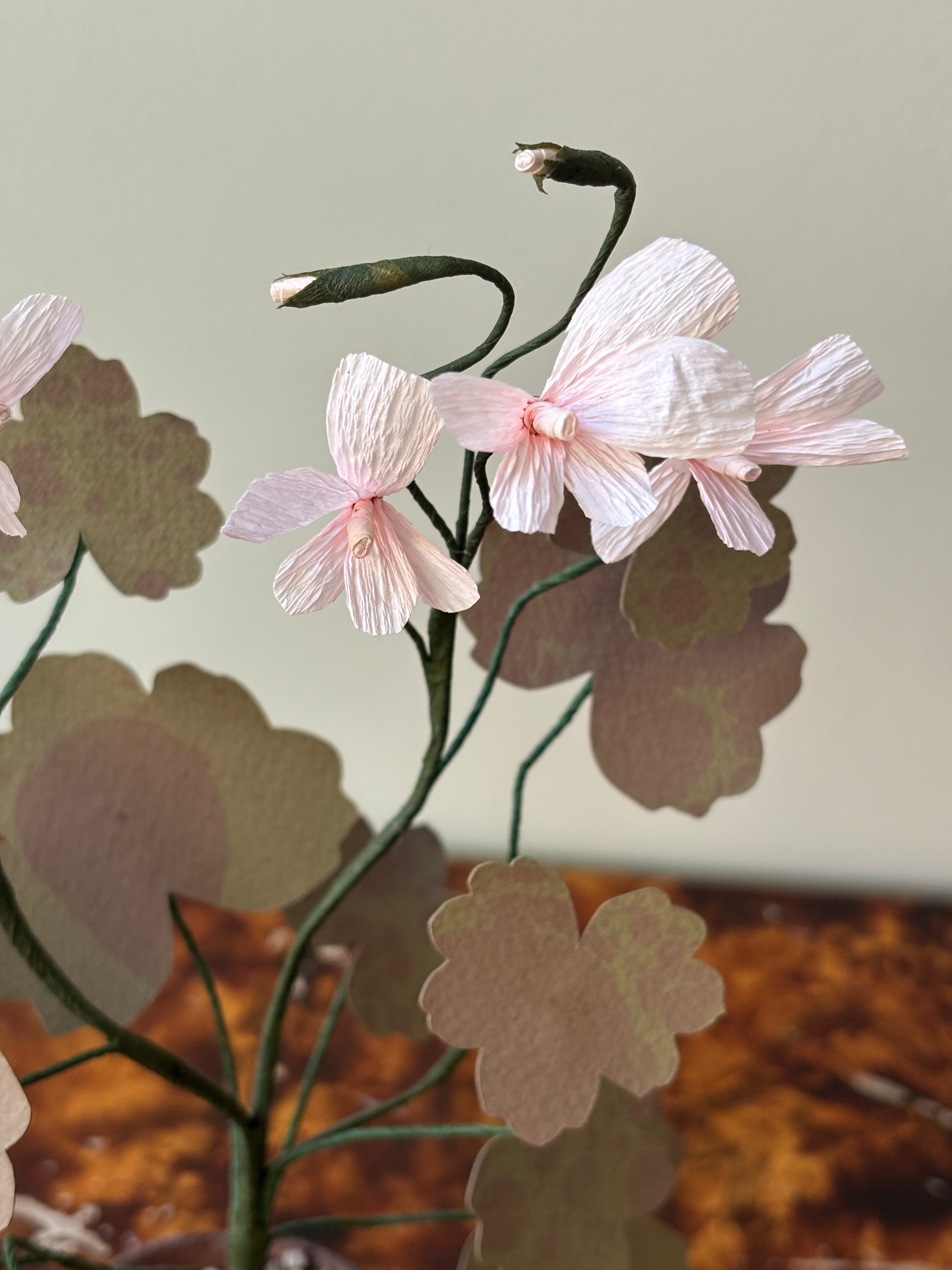 Paper Geranium