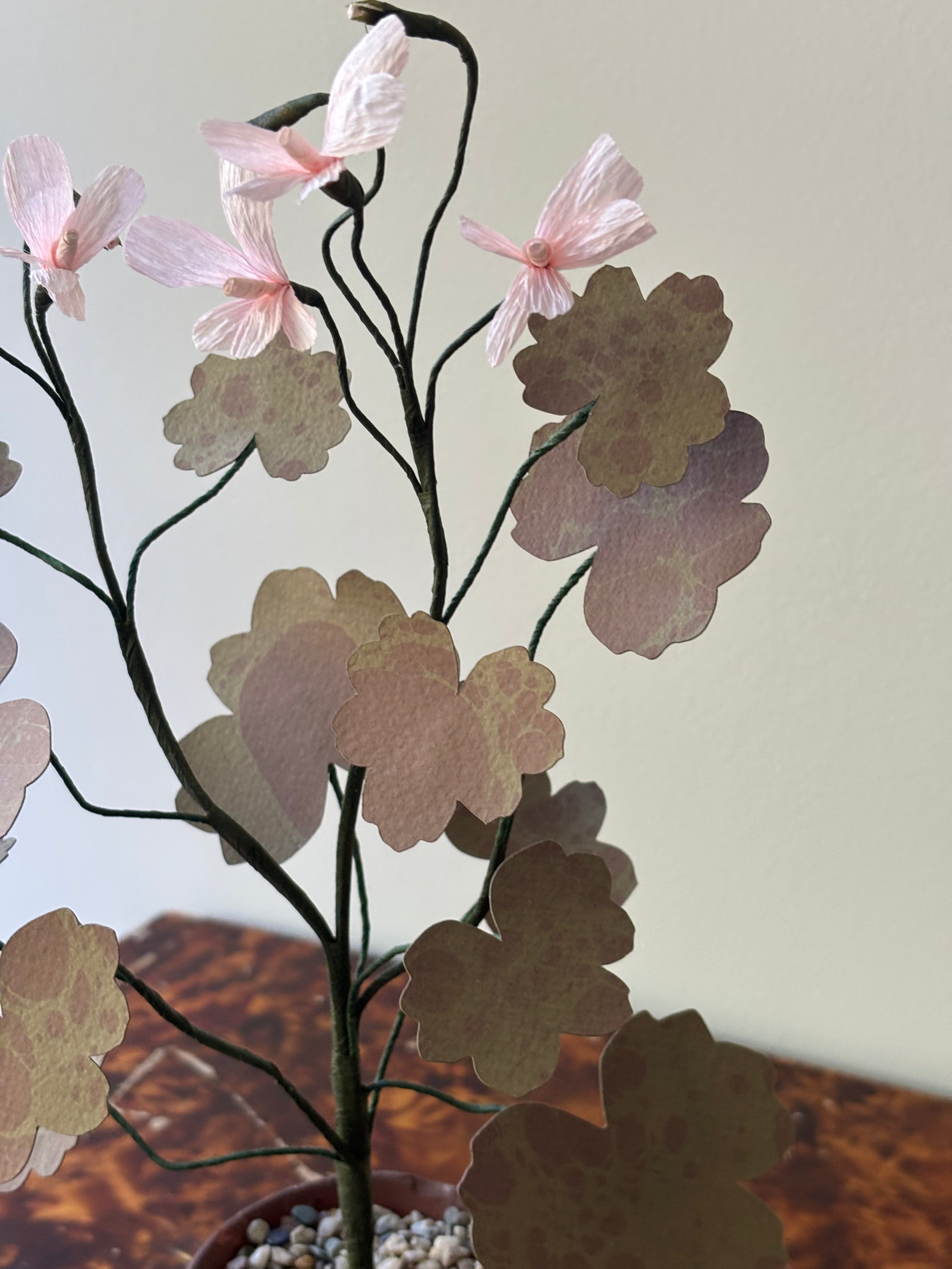 Paper Geranium