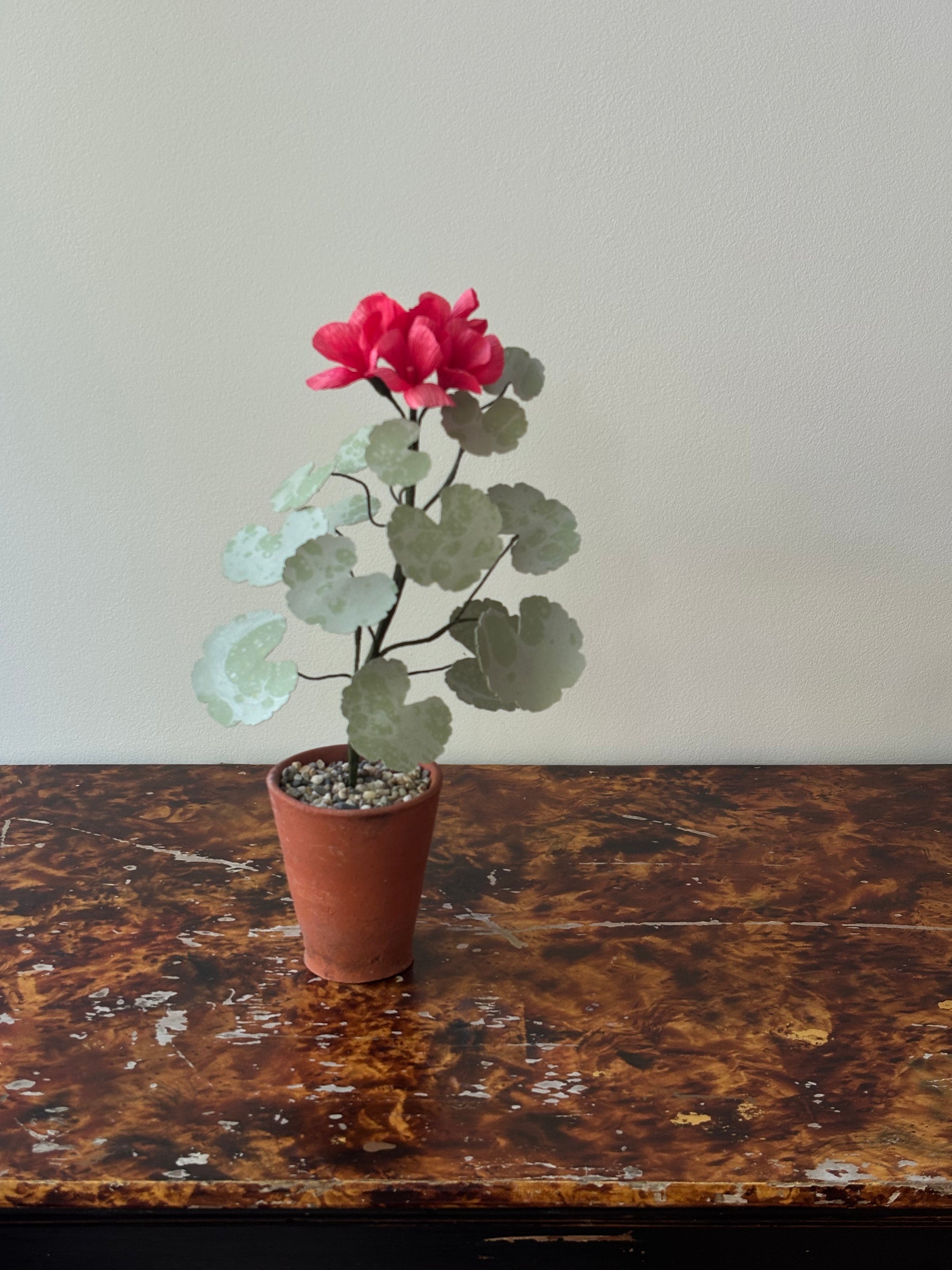 Paper Geranium
