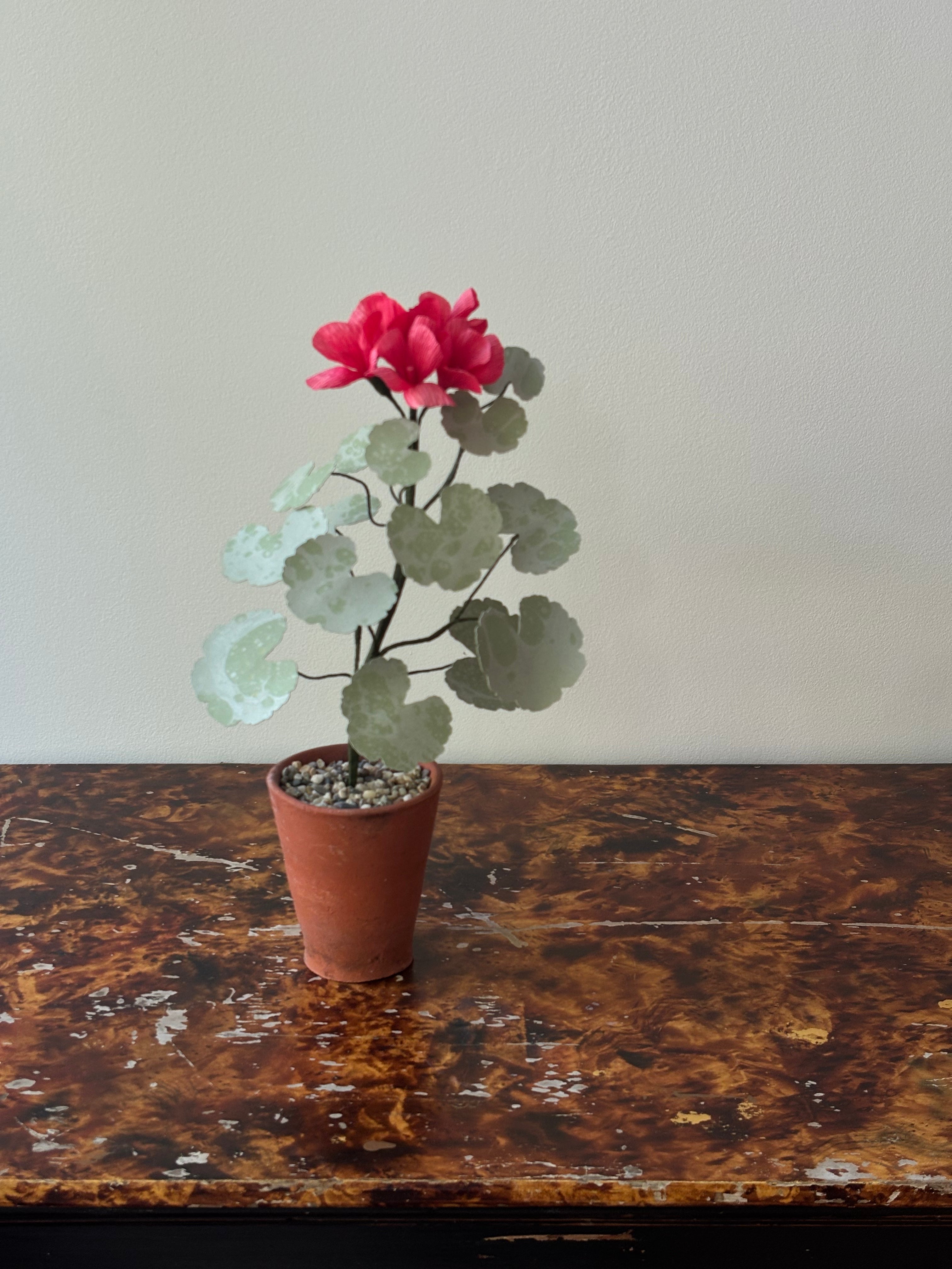 Paper Geranium