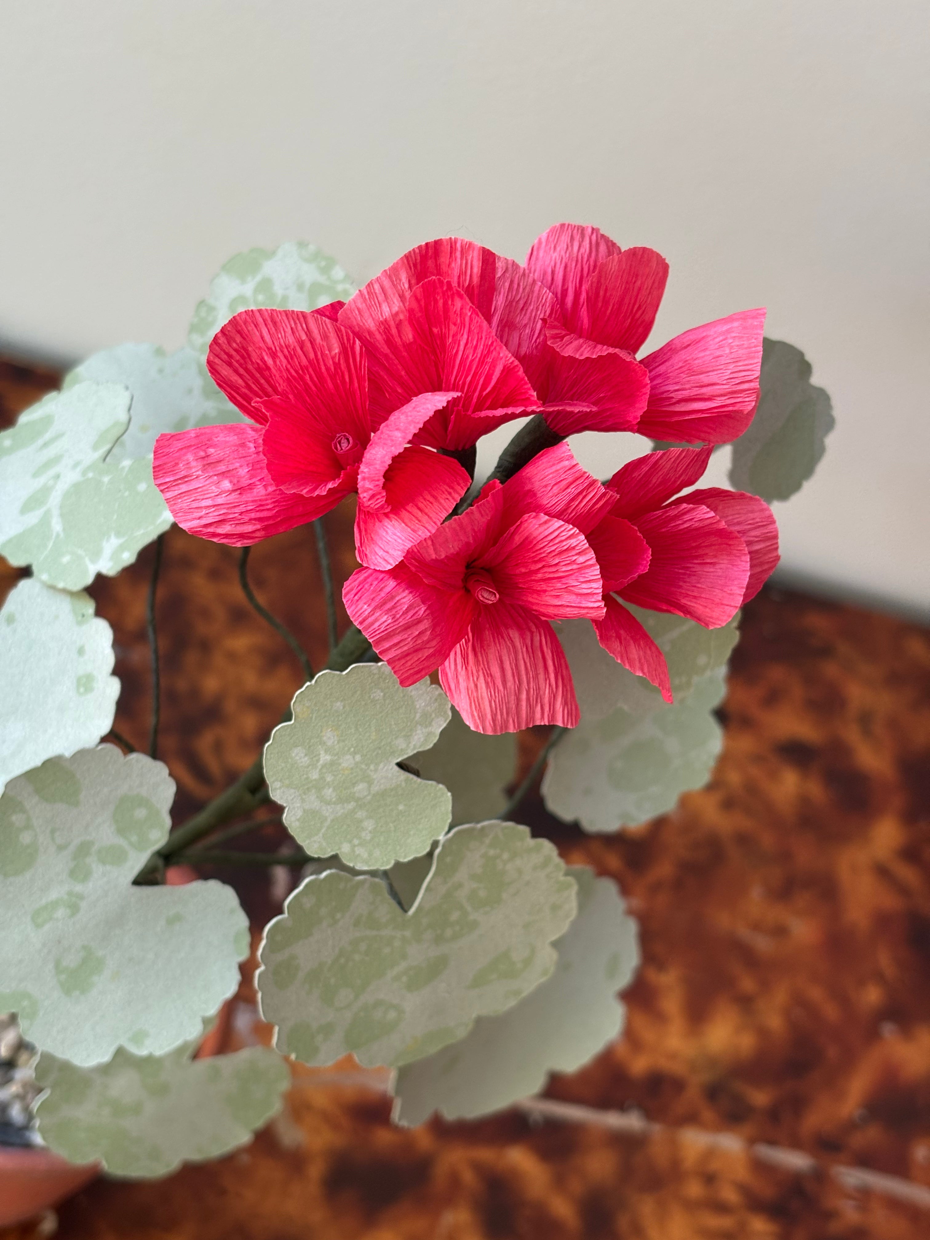 Paper Geranium