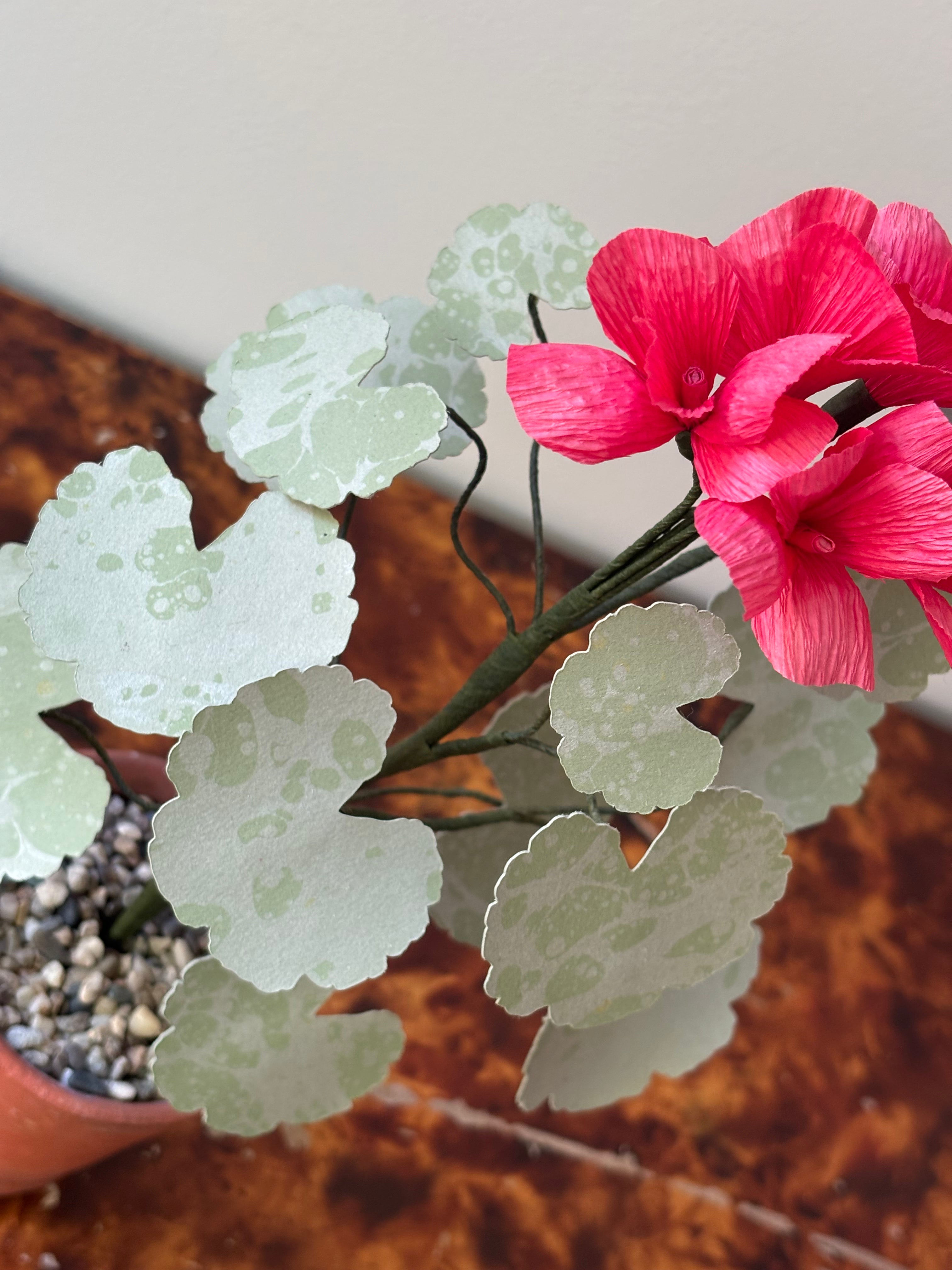 Paper Geranium