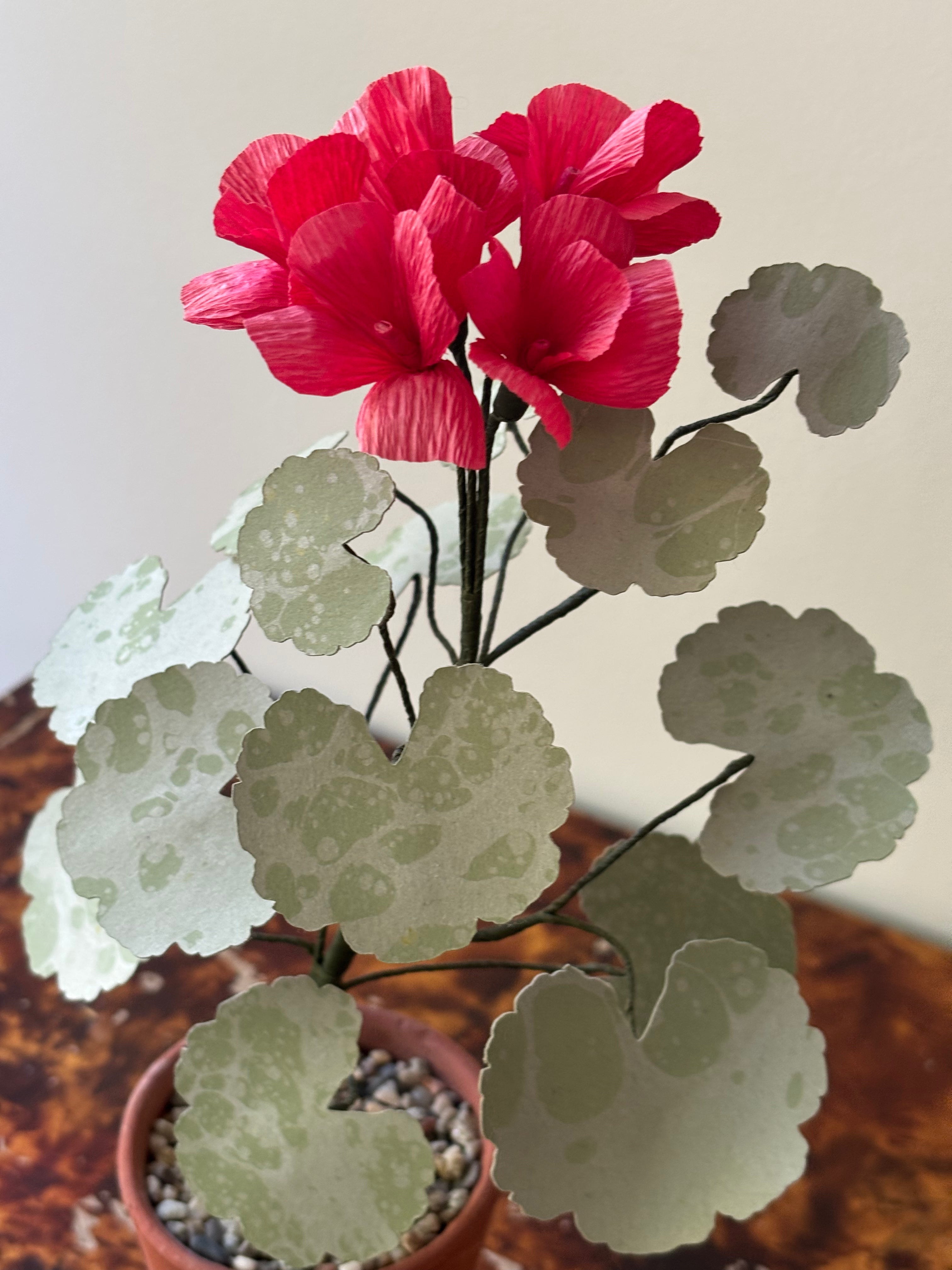 Paper Geranium