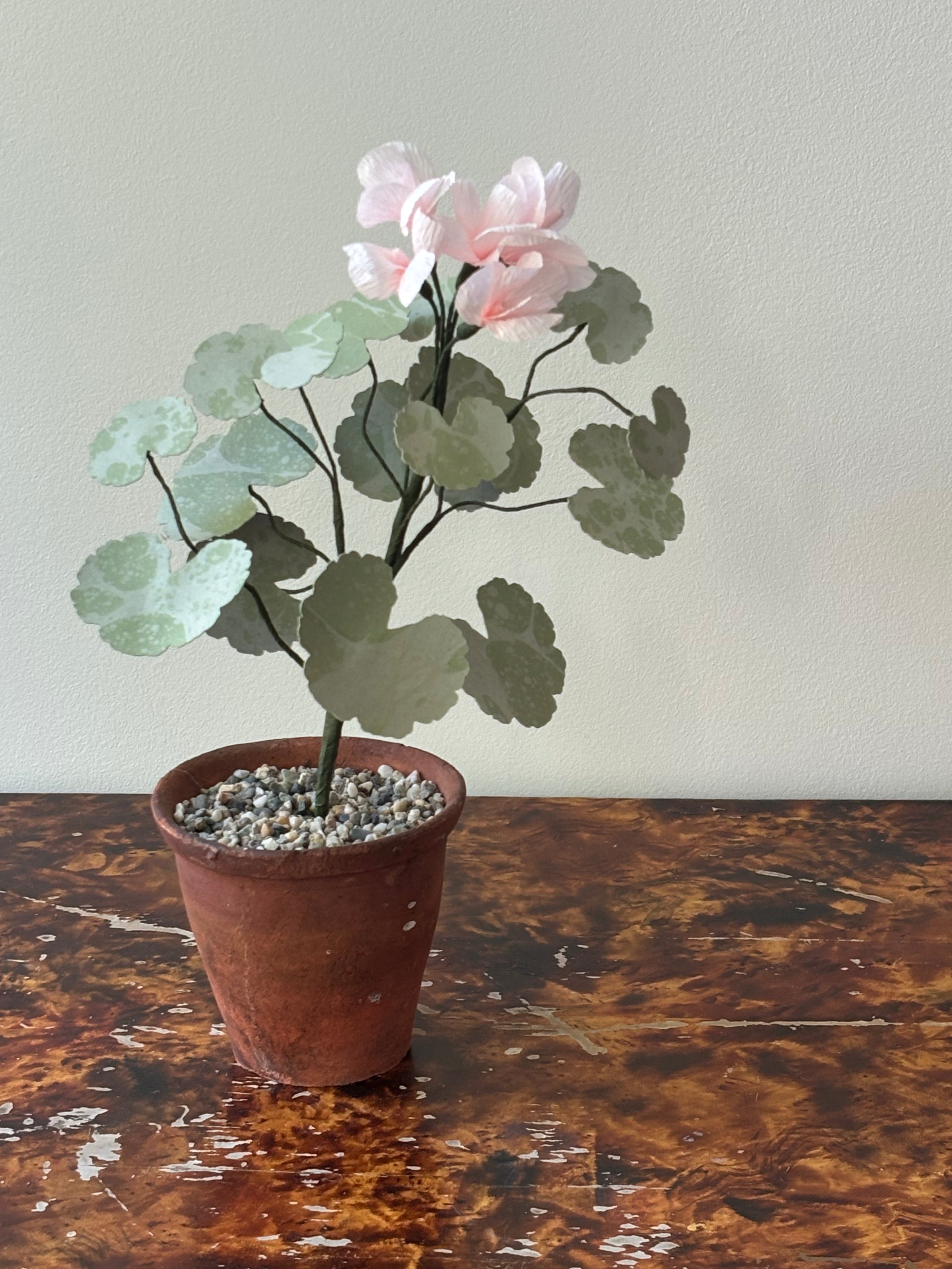 Paper Geranium