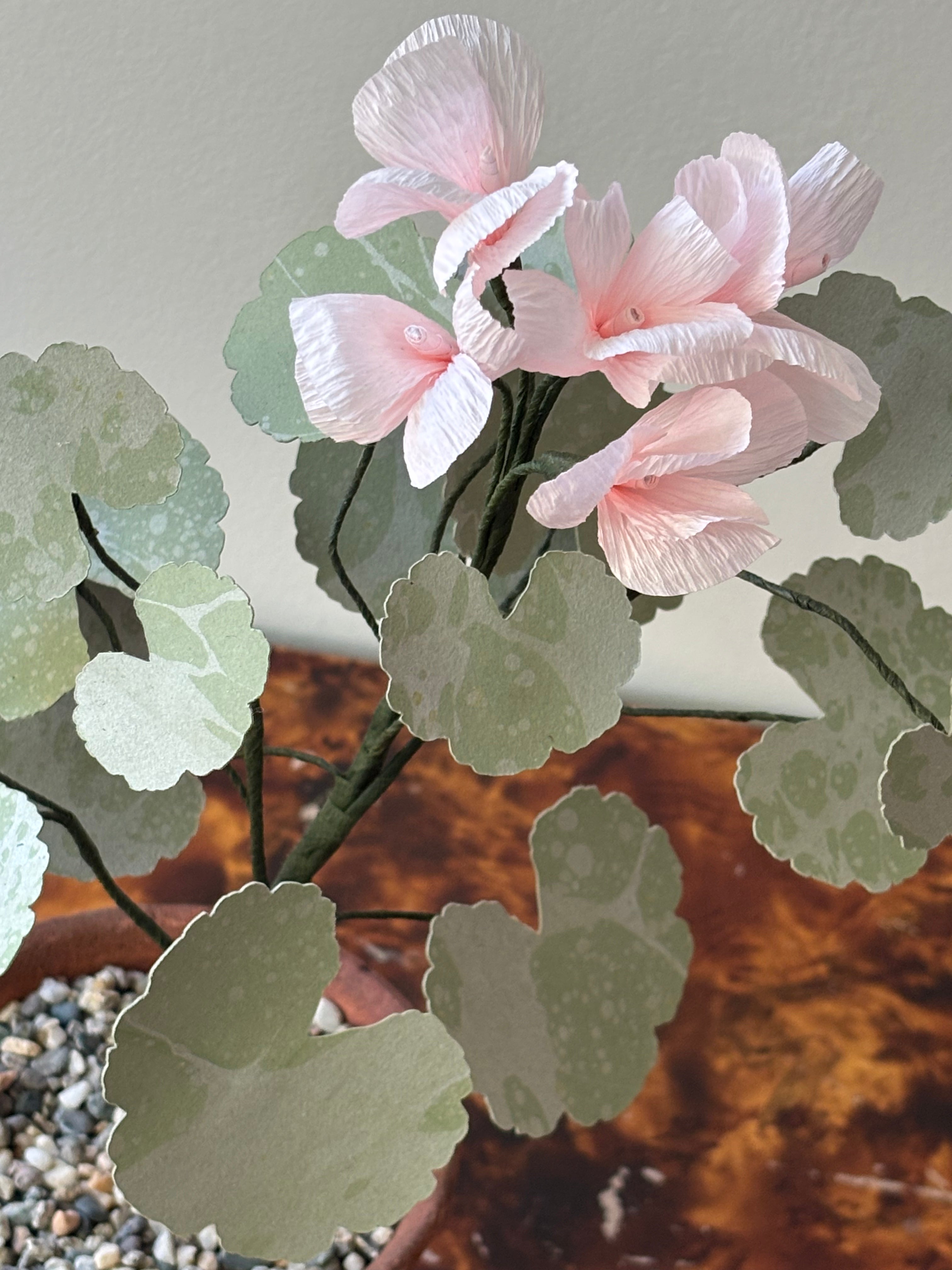 Paper Geranium