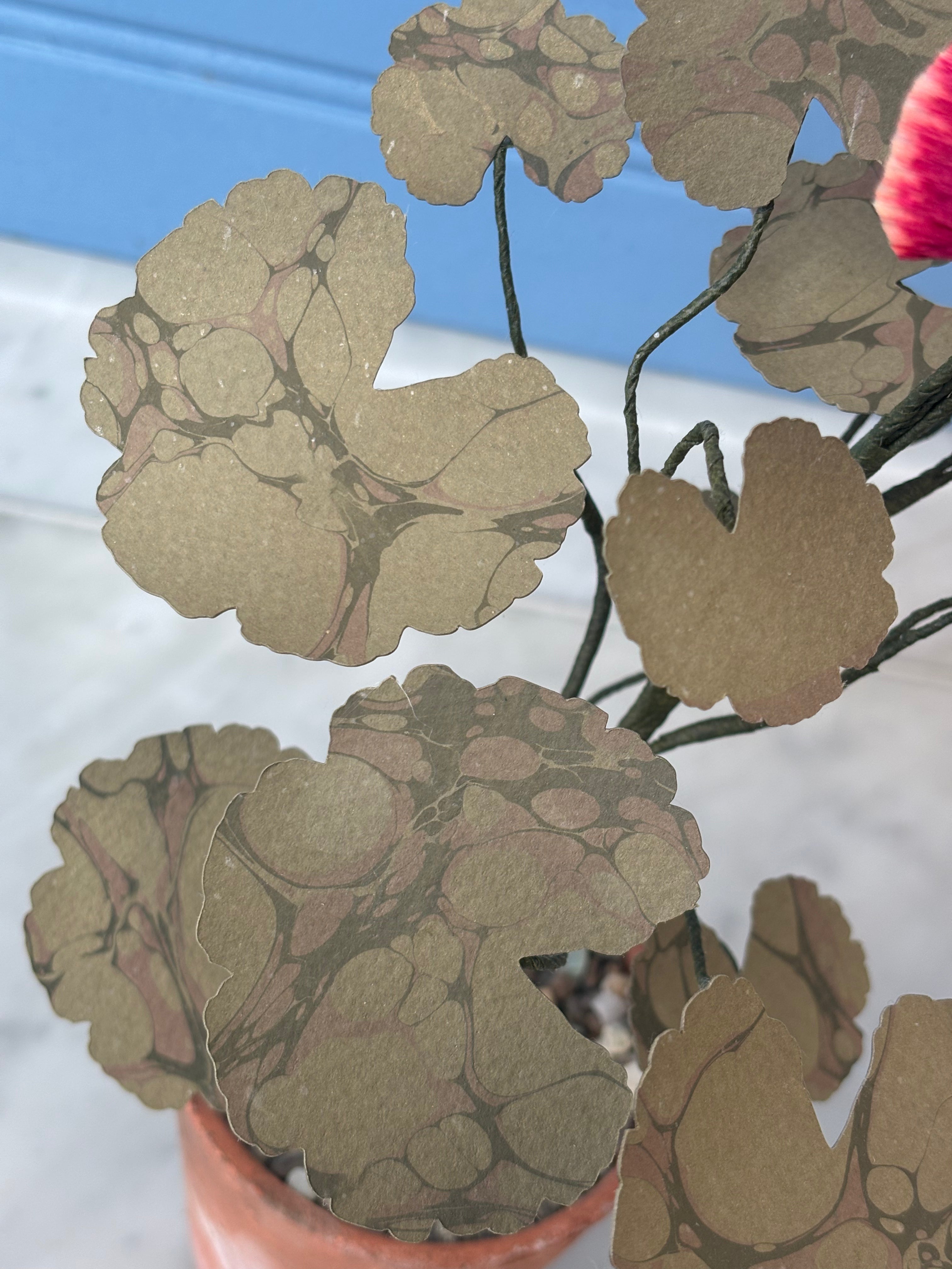Paper Geranium - SECOND
