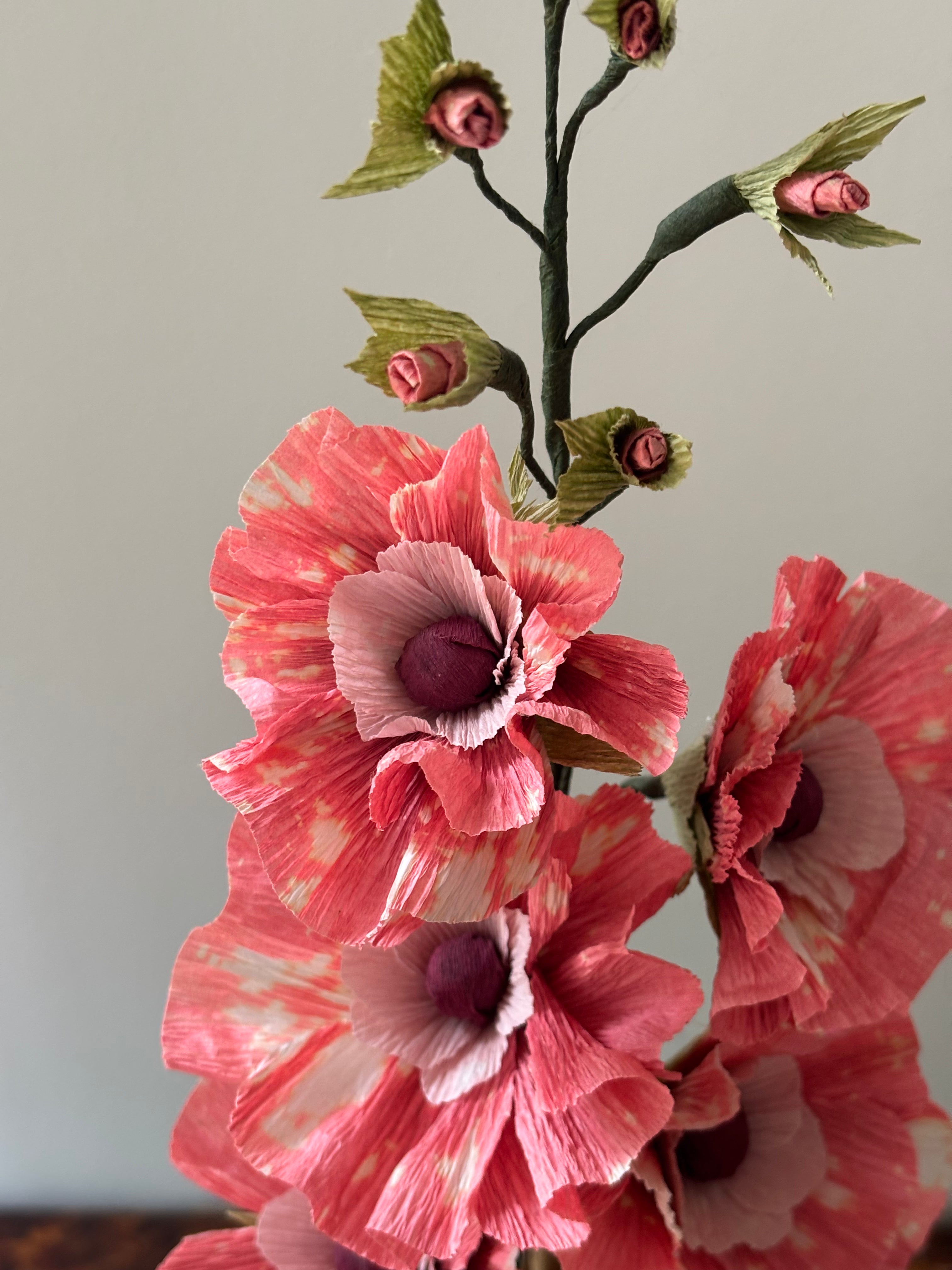 Paper Hollyhock SECOND