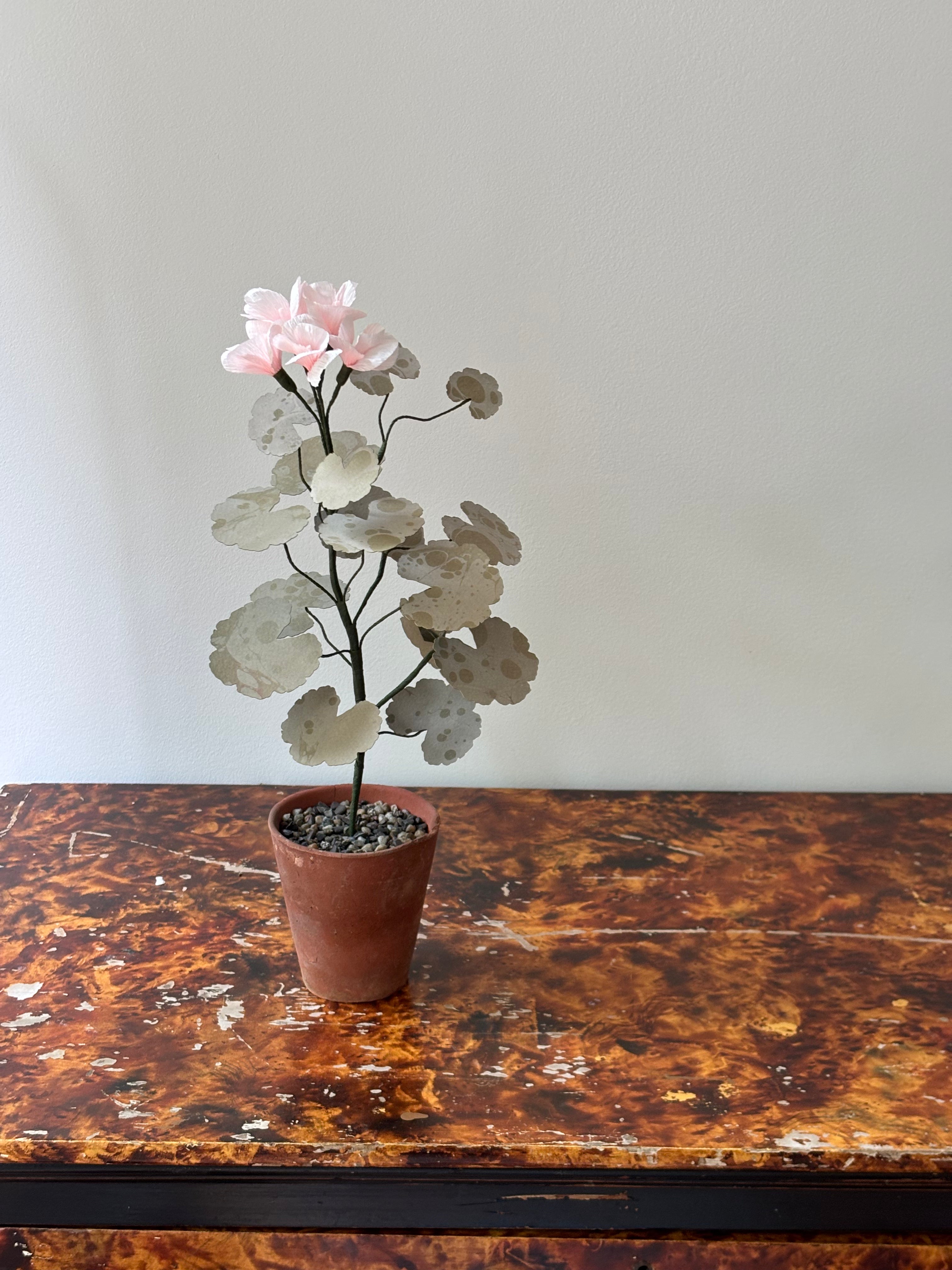Paper Geranium