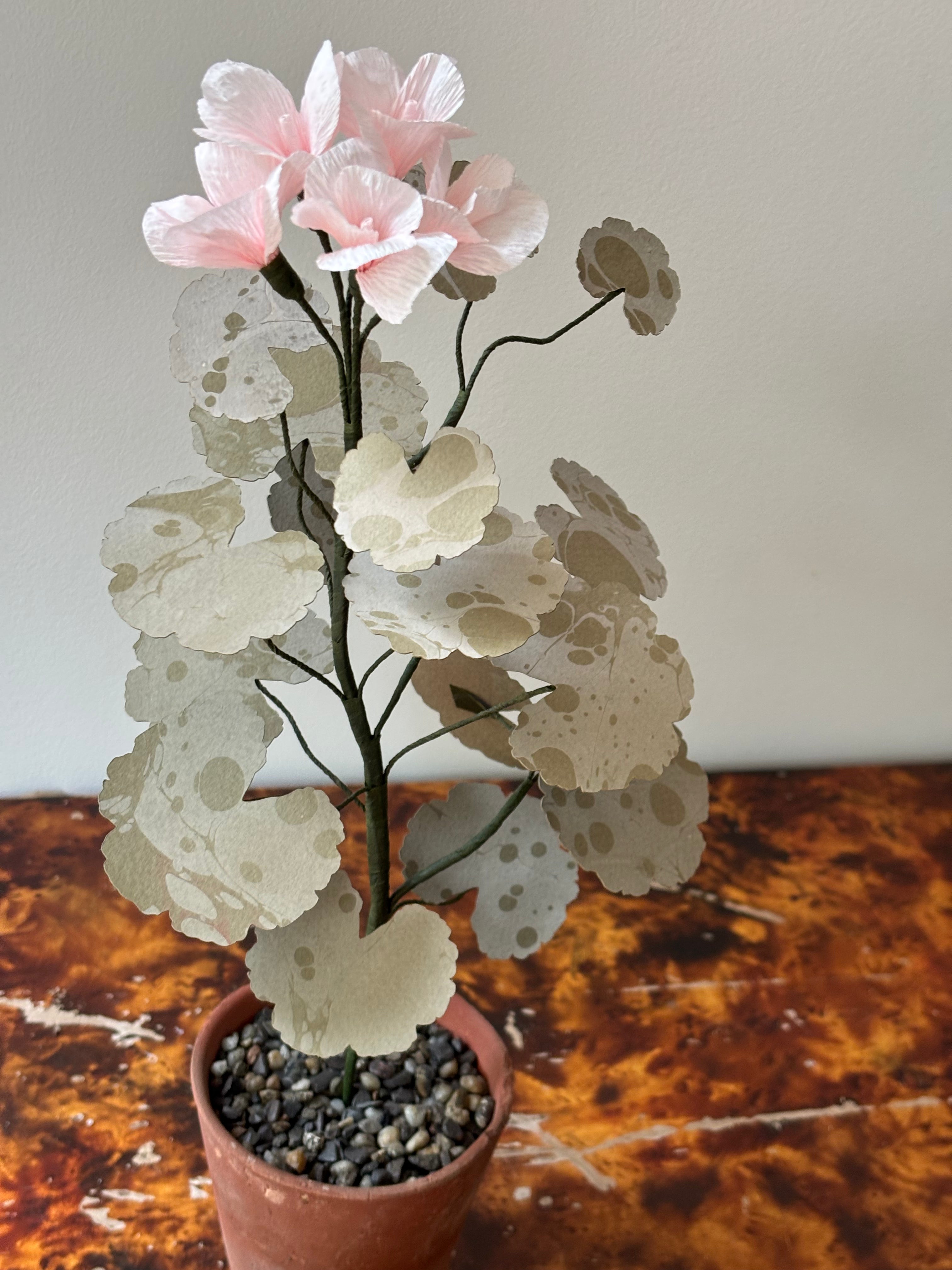 Paper Geranium