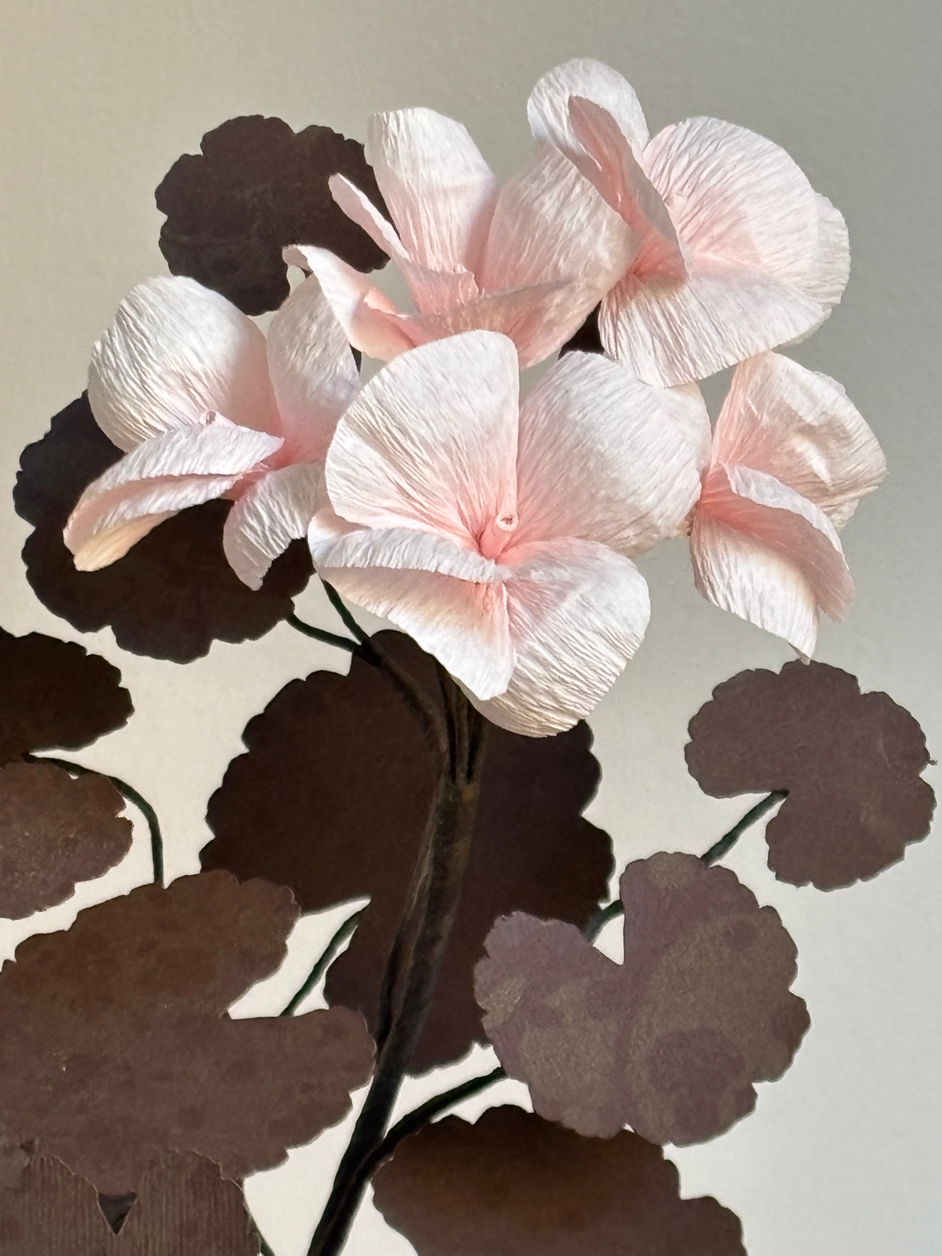 Paper Geranium