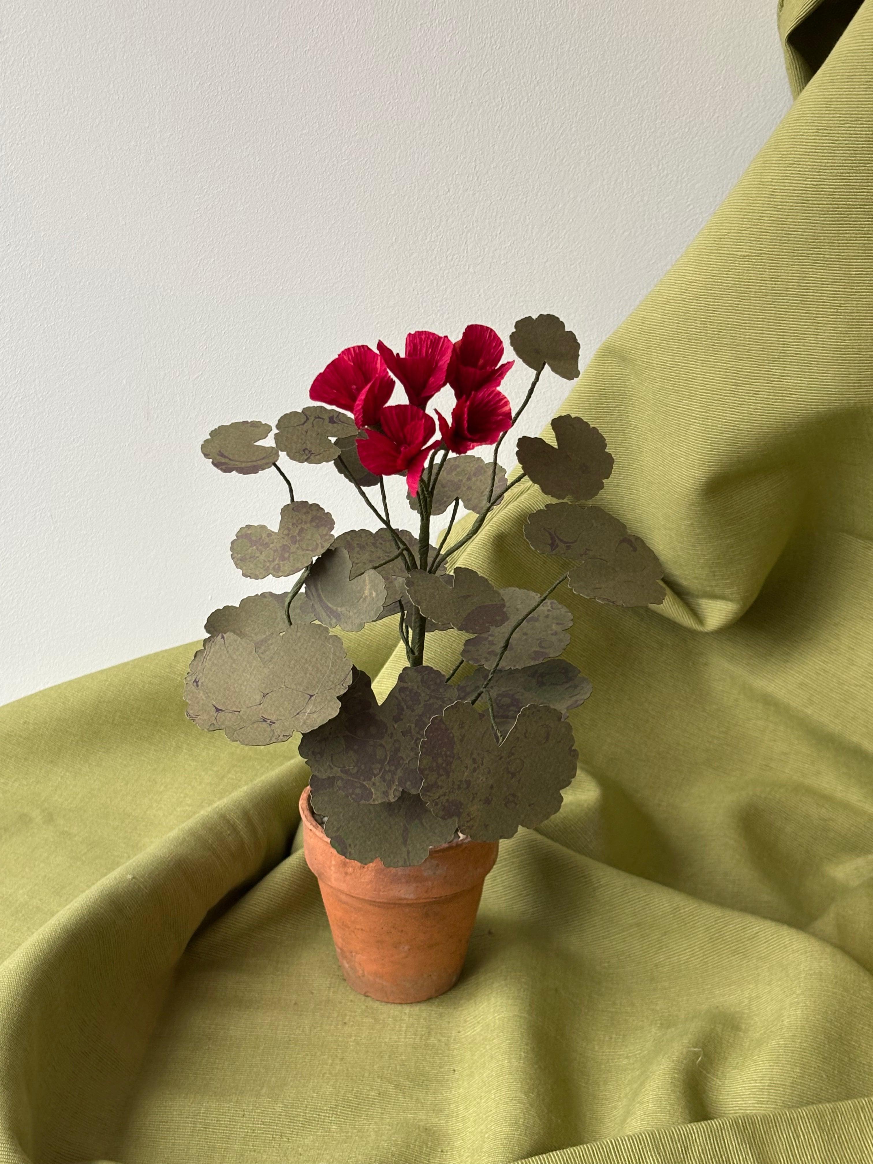 Paper Geranium