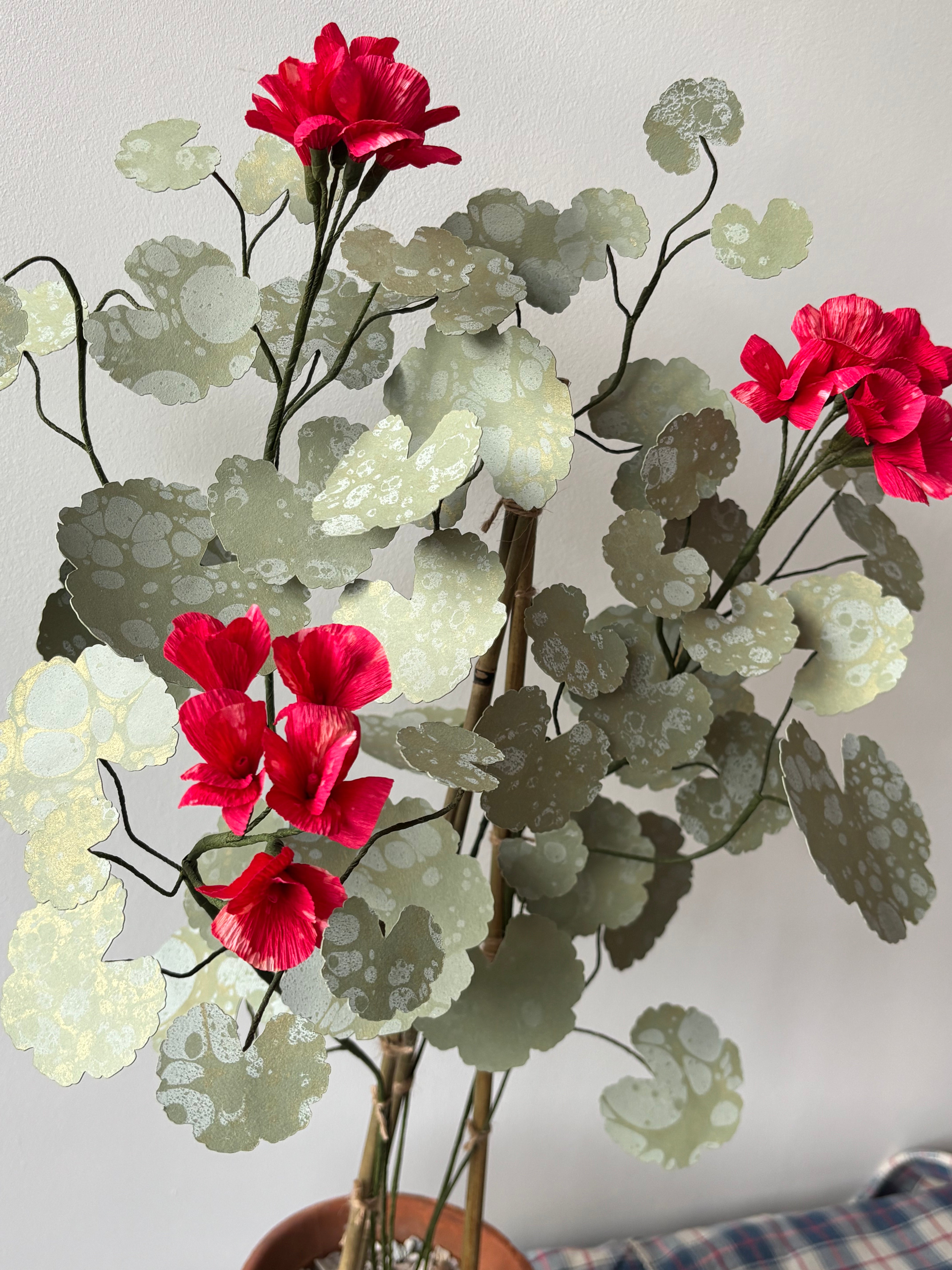 Paper Geranium