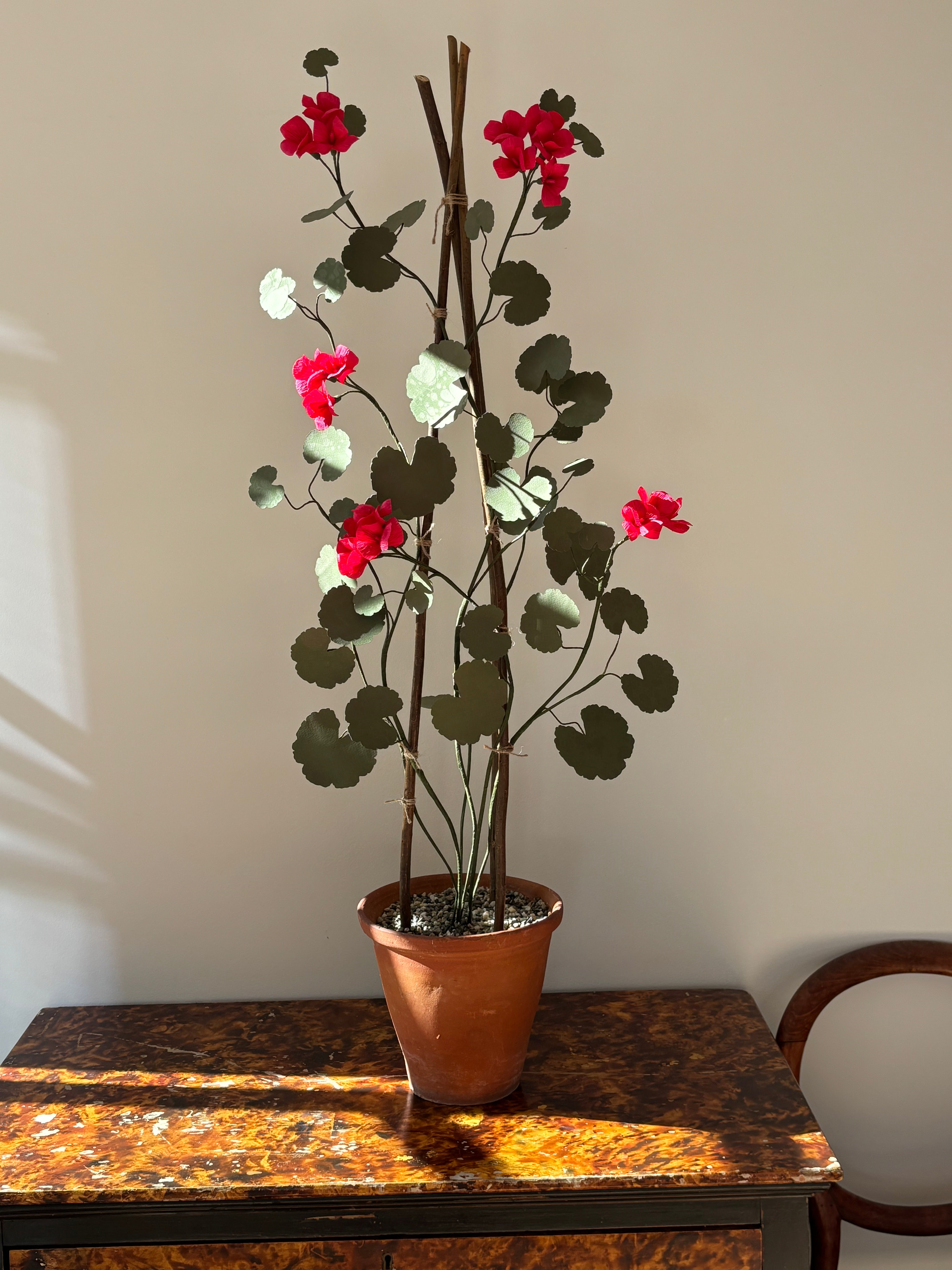 Paper Geranium - UK Delivery Only